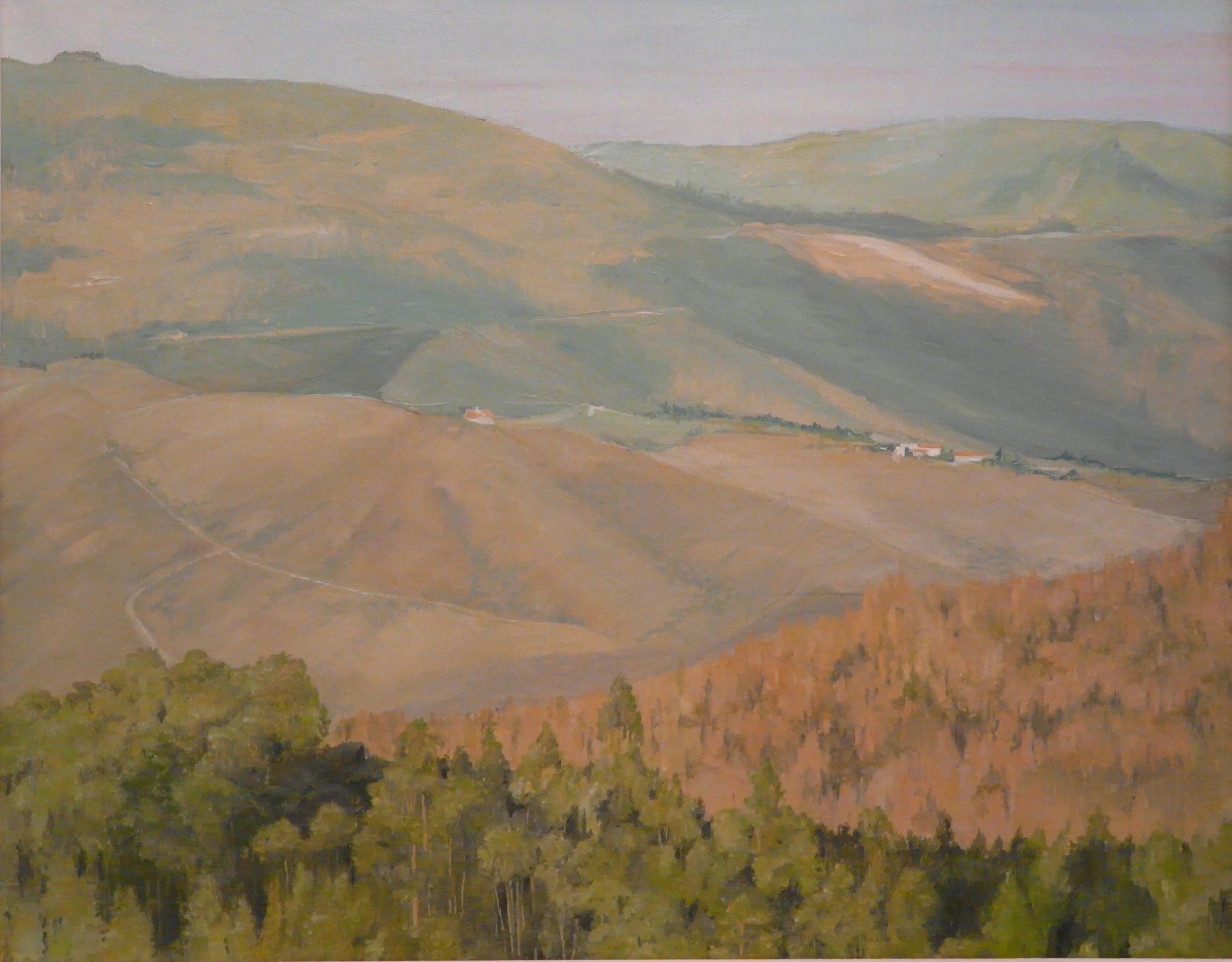 Looking North 1.JPG