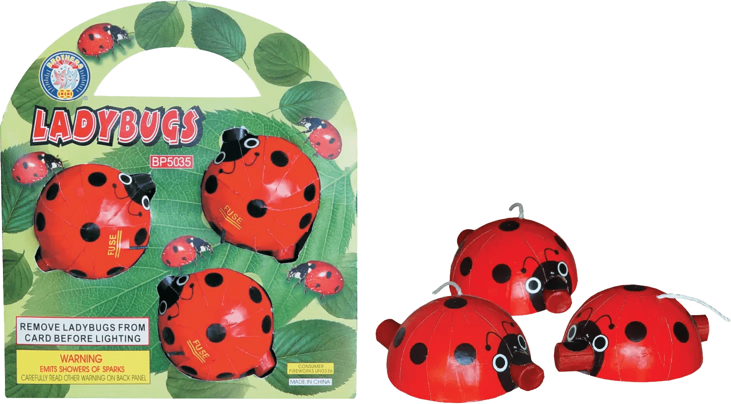 Ladybug Fireworks