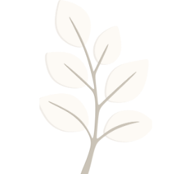 White watercolor illustration of a leafy branch with eight leaves on a black background.