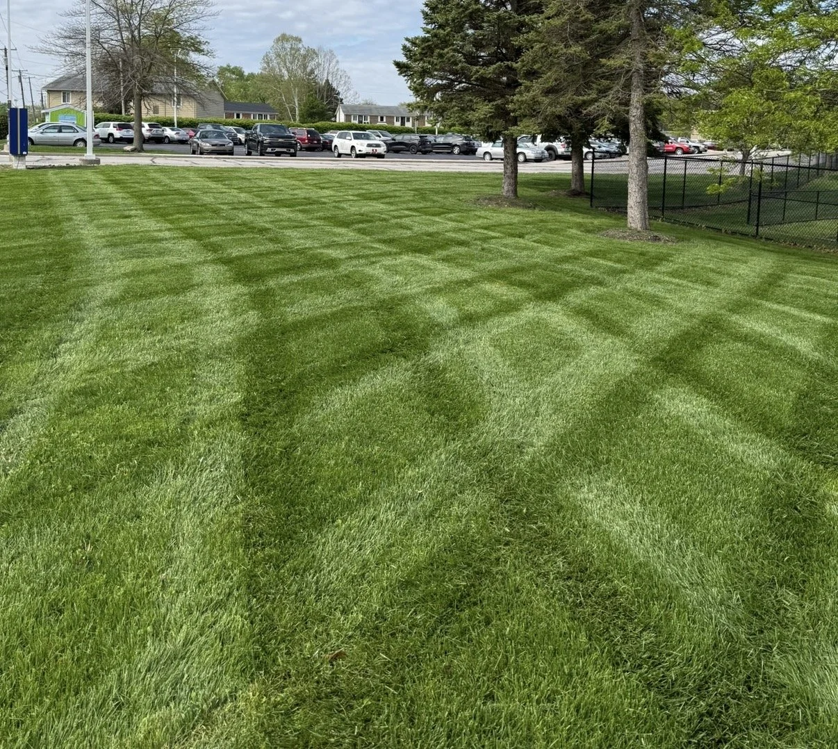 Freshly mowed green grass with visible striping pattern, trees along the edge, a chain-link fence on the right, and a parking lot with cars and small buildings in the background.