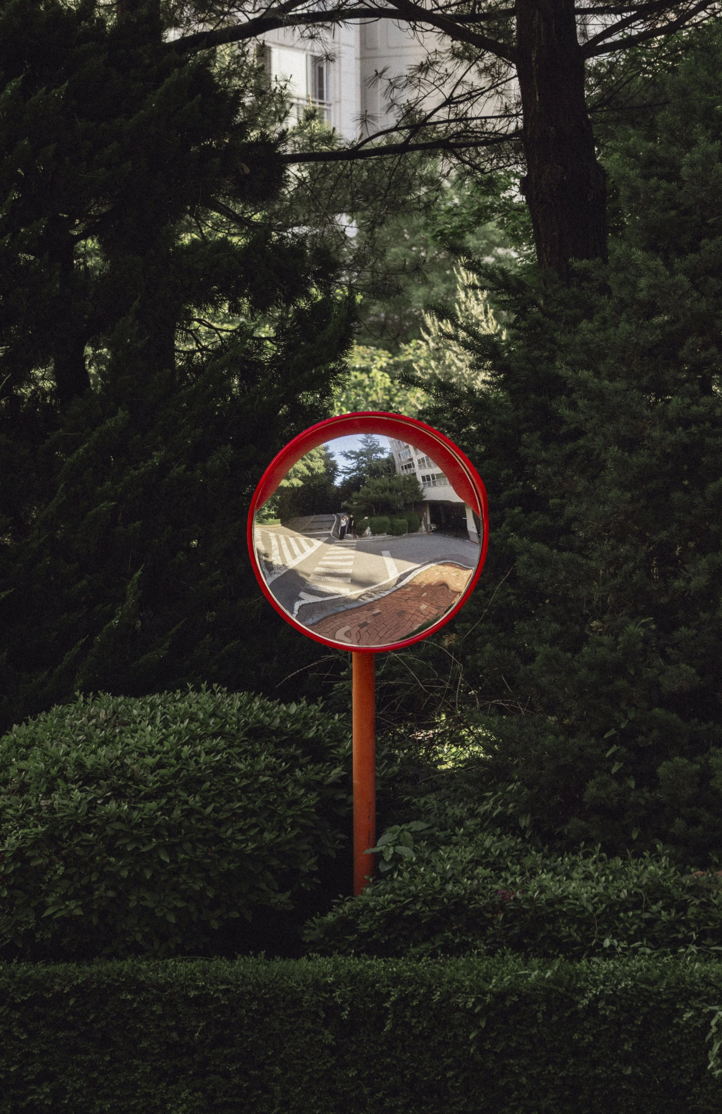 A convex traffic mirror with a red frame reflecting a sidewalk, a crosswalk, and part of a building, set in a garden area surrounded by bushes and trees.