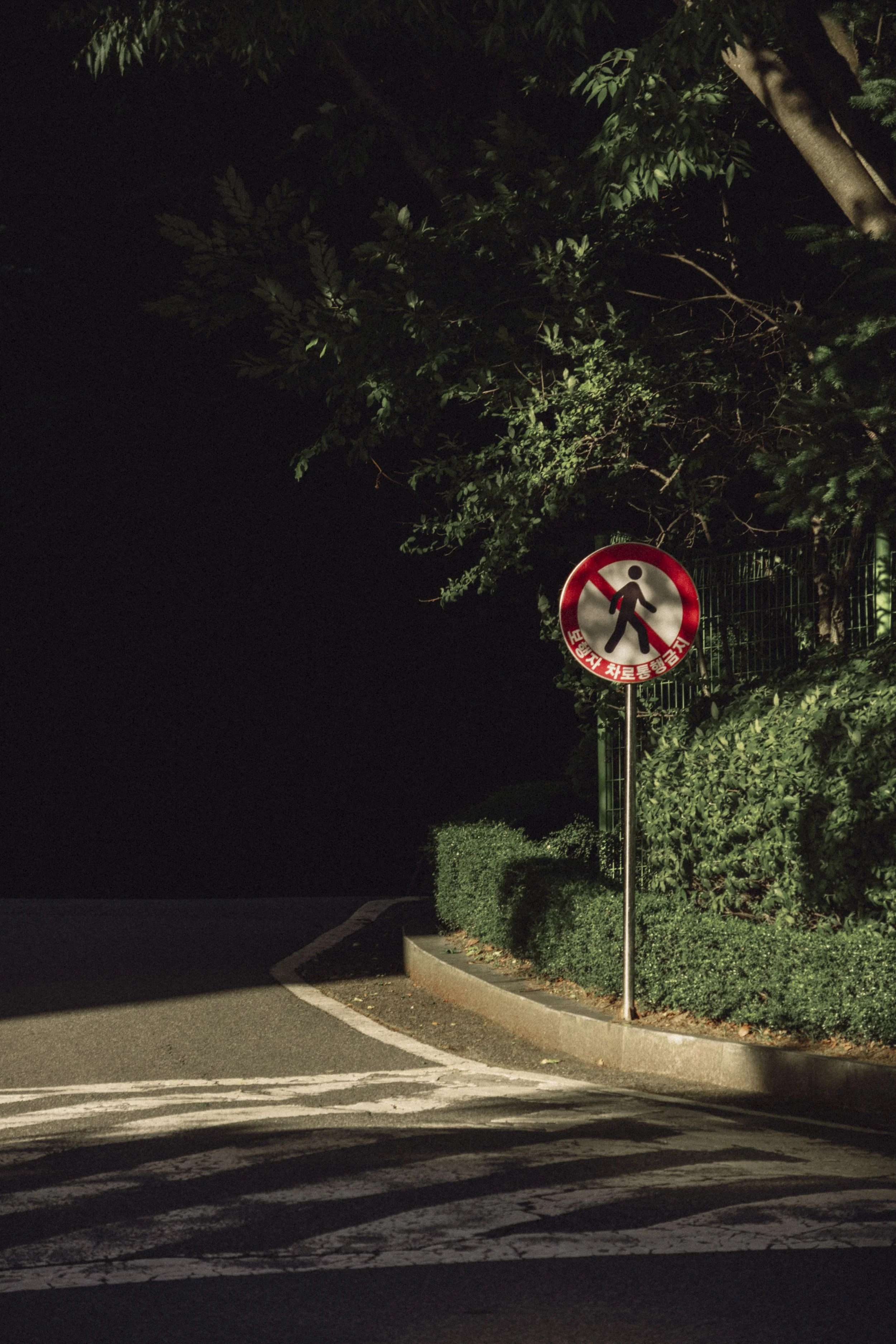 Night scene of a sidewalk with a 'No Pedestrians' sign, surrounded by greenery and trees, illuminated by streetlights.
