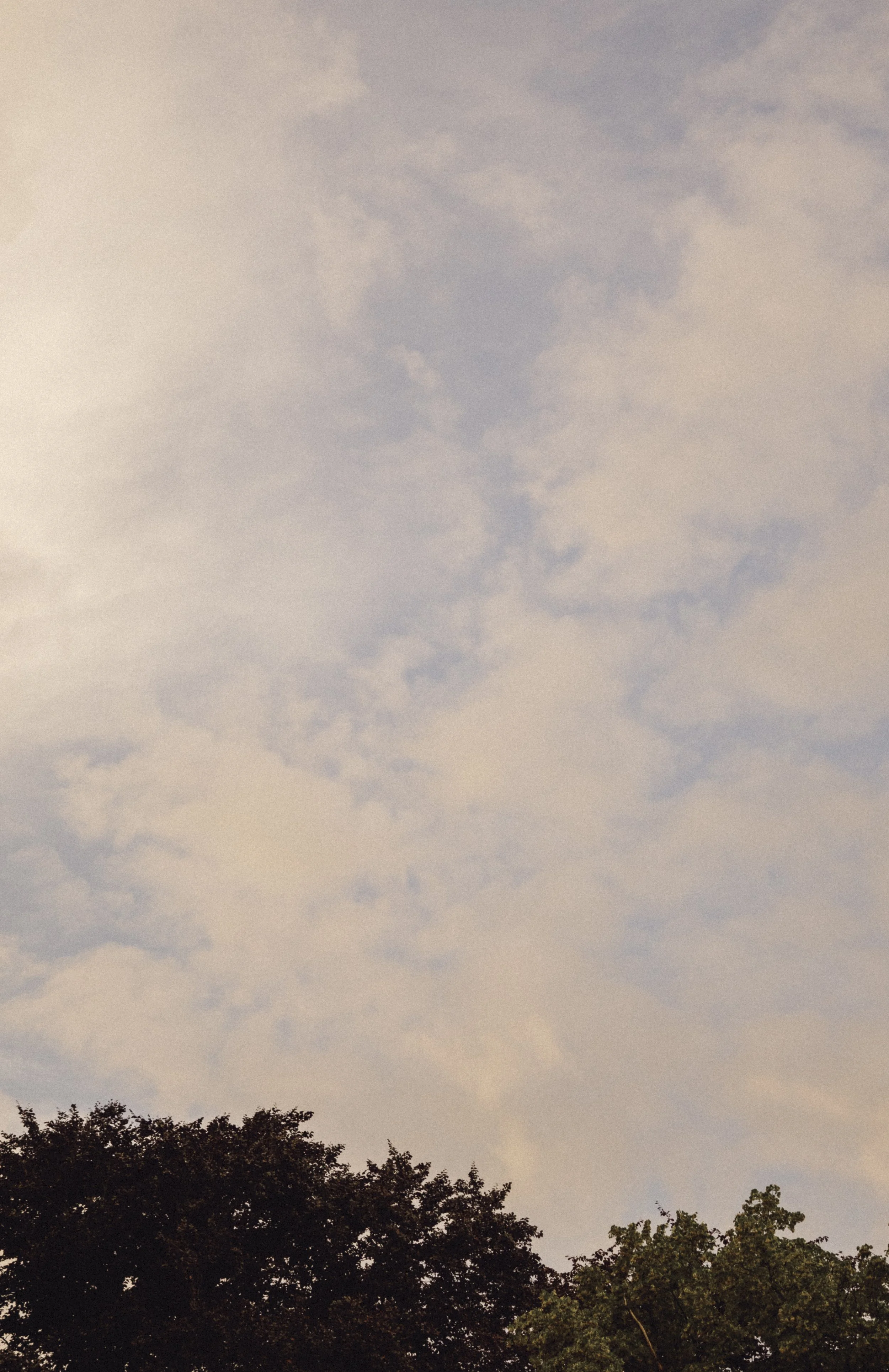 Sky with scattered clouds and treetops at the bottom.