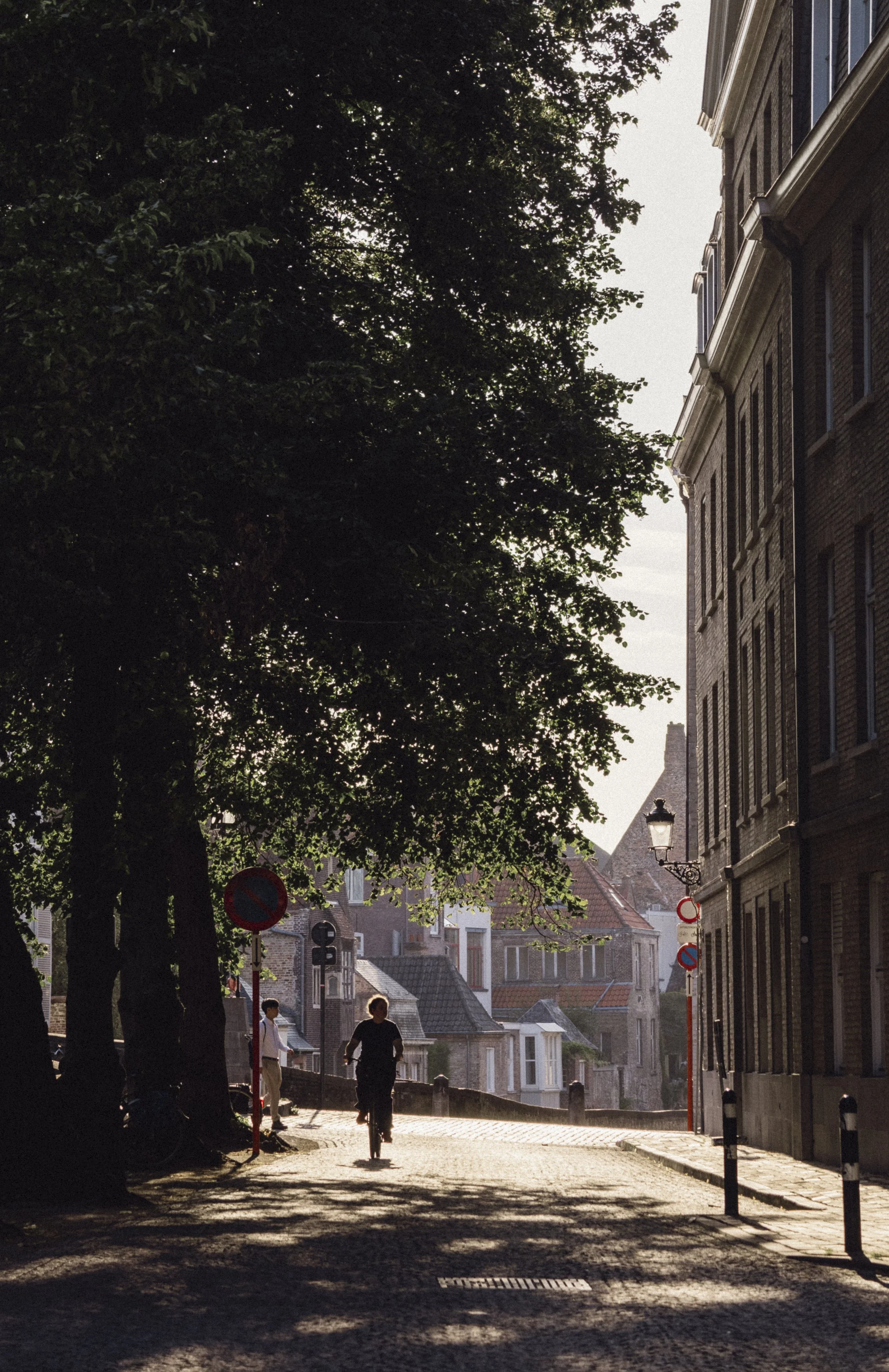 A street scene in a European town during late afternoon or early evening, with large trees casting shadows on the cobblestone street. There are two people walking and one riding a bicycle, with buildings on the right side and a church spire visible i