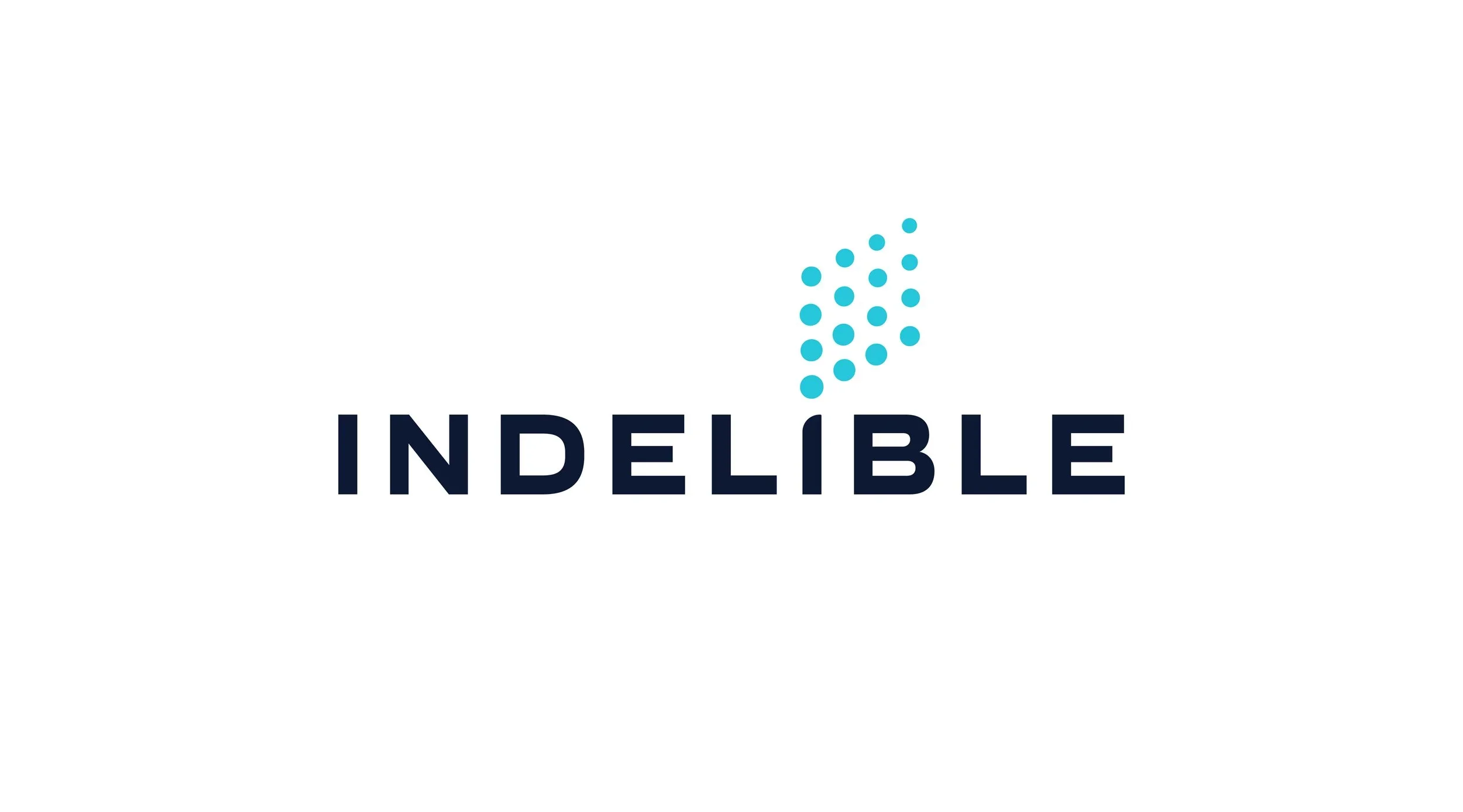 The logo for Indelible features a stylized blue dot pattern forming a streak along with the word 'Indelible' in dark blue capital letters.