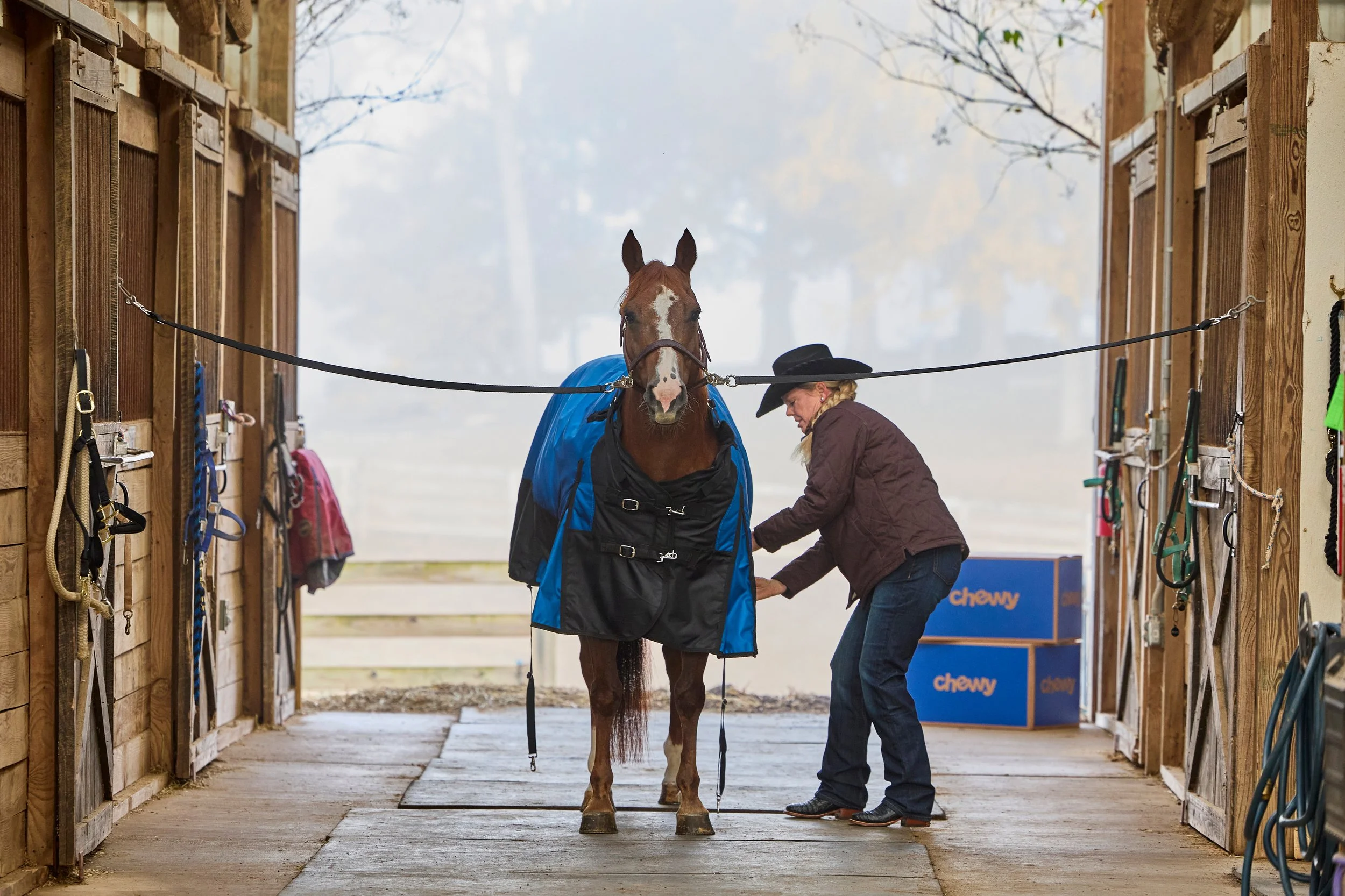 2355050_IMC_DTS-Equine2026AssetLibraryShoot-Fall_20251104_03606.jpg