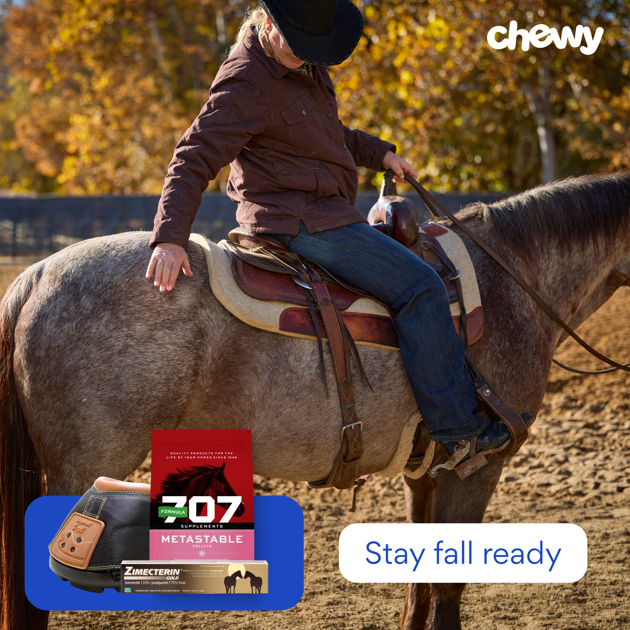 2810202-2026-07-Equine-Fall-DPA-FrontCard-1.png