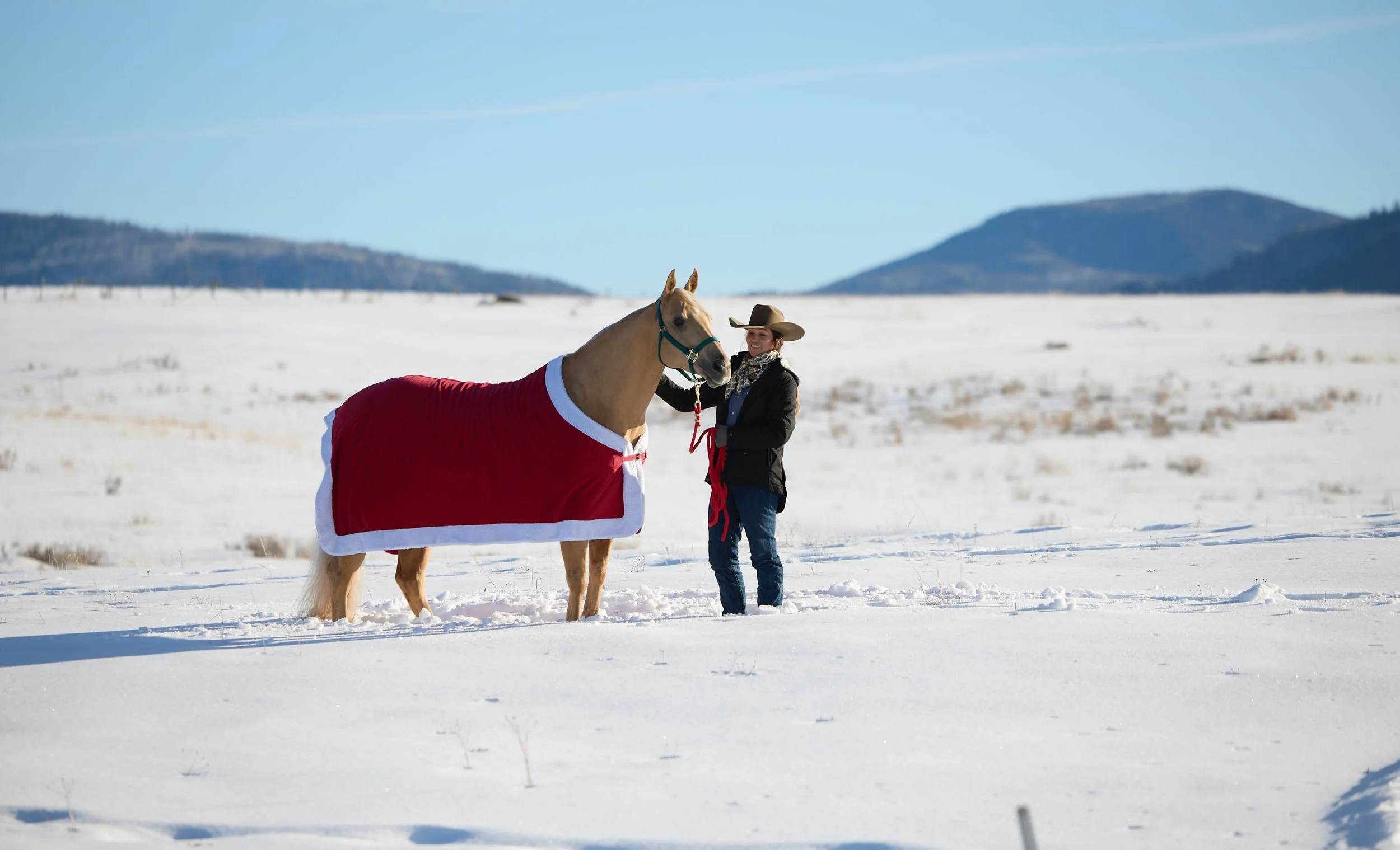 2360500_IMC_DTS-Equine2026AssetLibraryShoot-Winter_20260205_07018.jpg