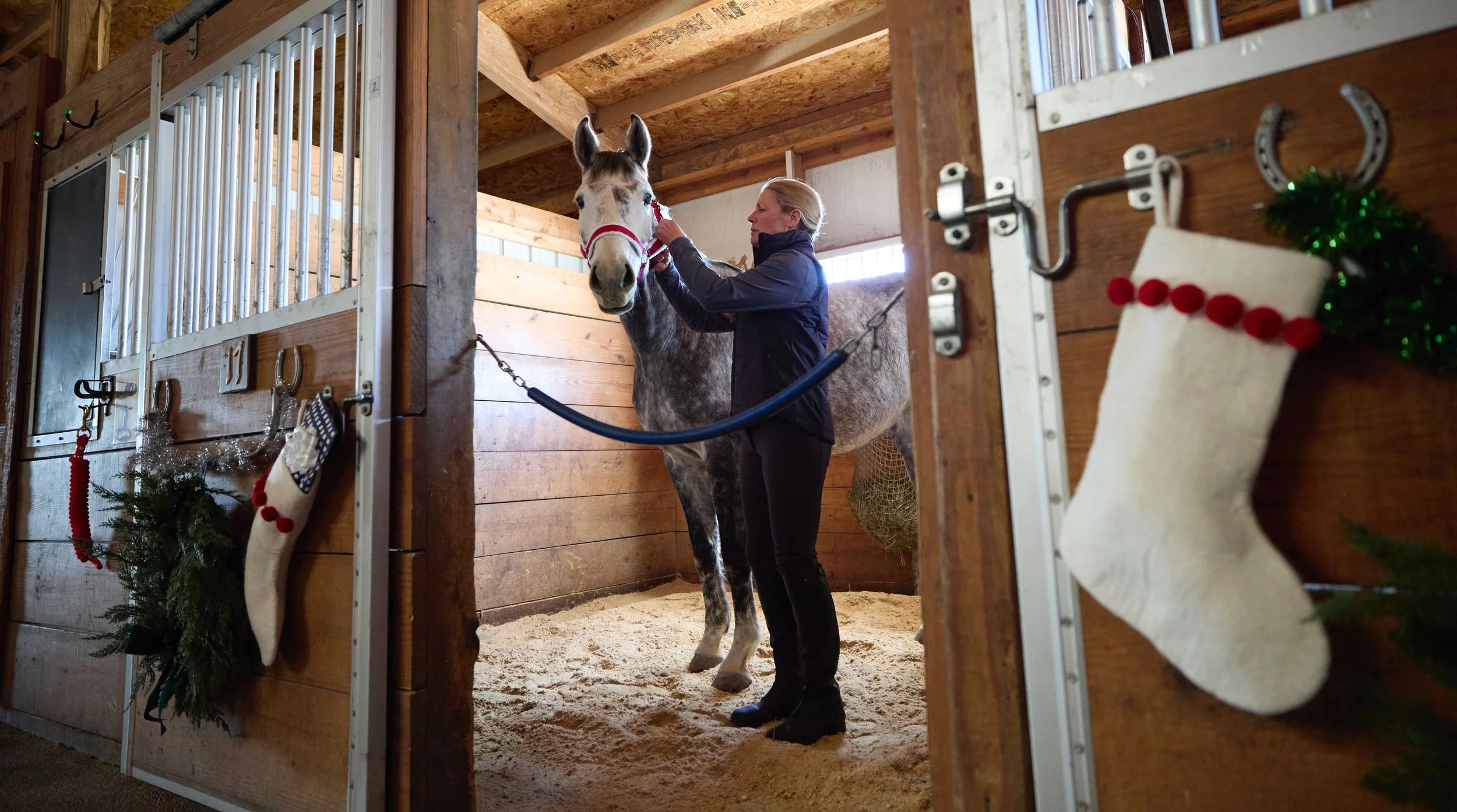 2360500_IMC_DTS-Equine2026AssetLibraryShoot-Winter_20260204_02492.jpg