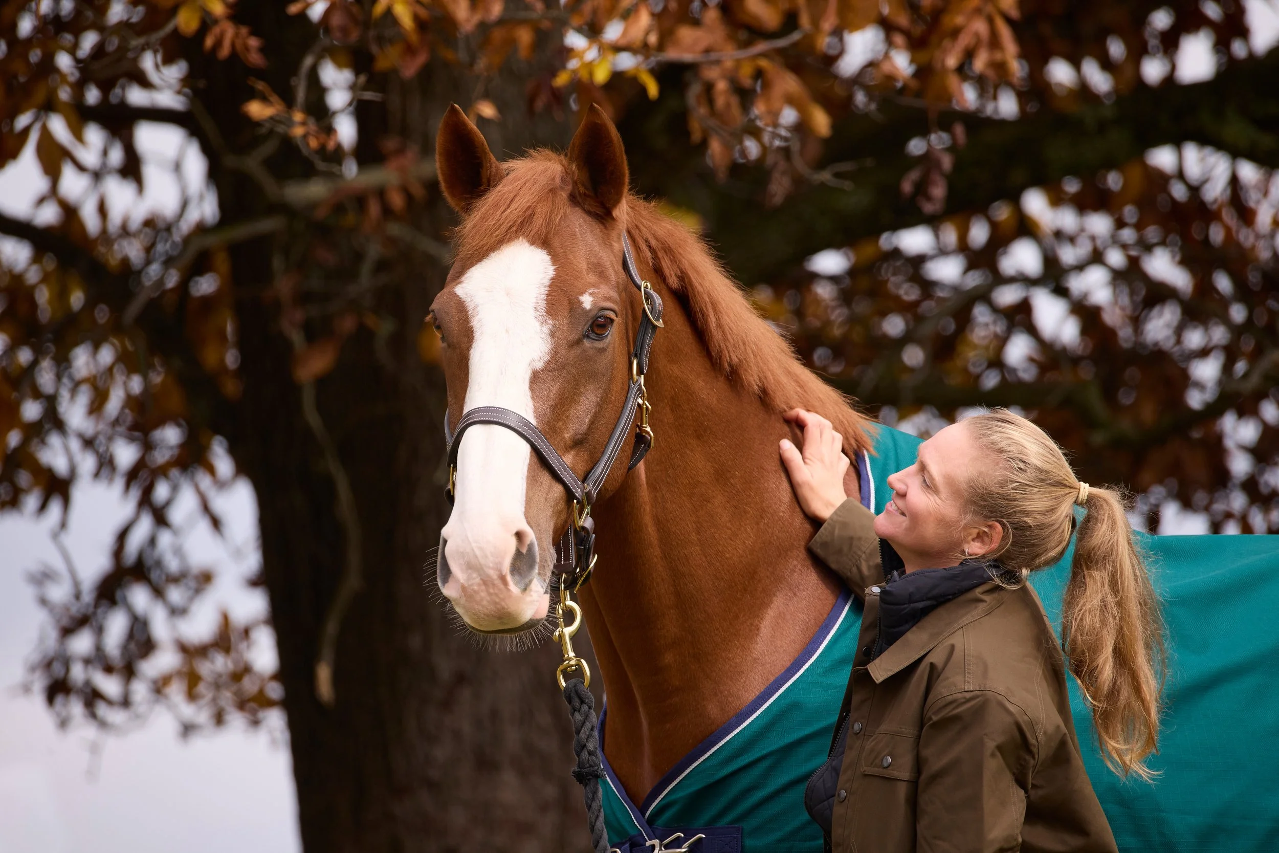 2355050_IMC_DTS-Equine2026AssetLibraryShoot-Fall_20251103_02464.jpg