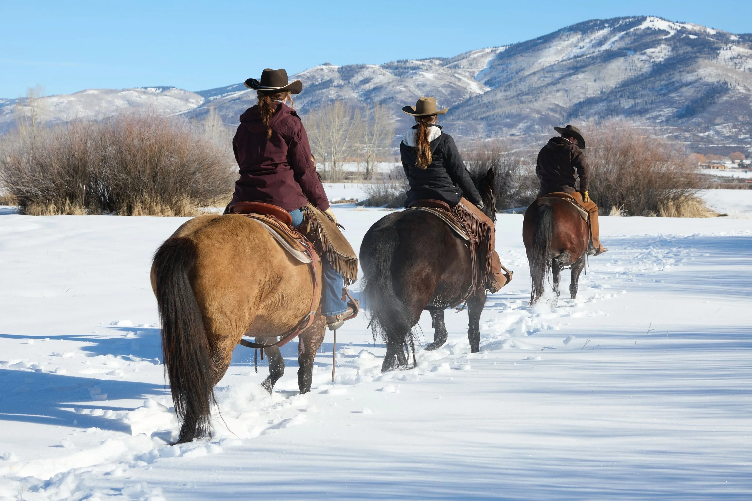 2360500_IMC_DTS-Equine2026AssetLibraryShoot-Winter_20260205_04263.jpg