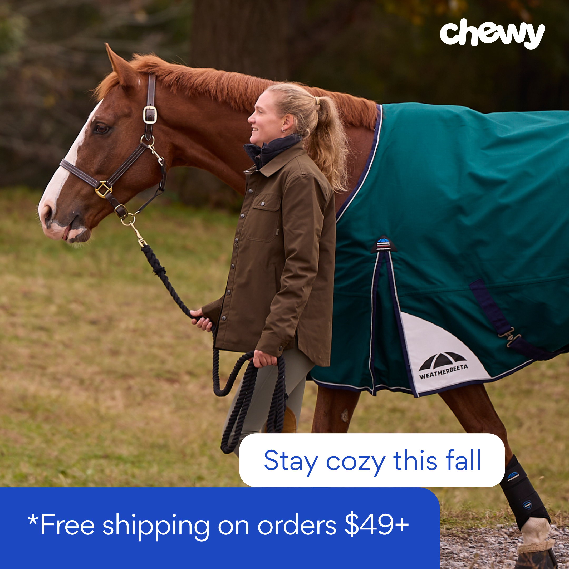 2810202-2026-07-Equine-Fall-DPA-FrontCard-2.png