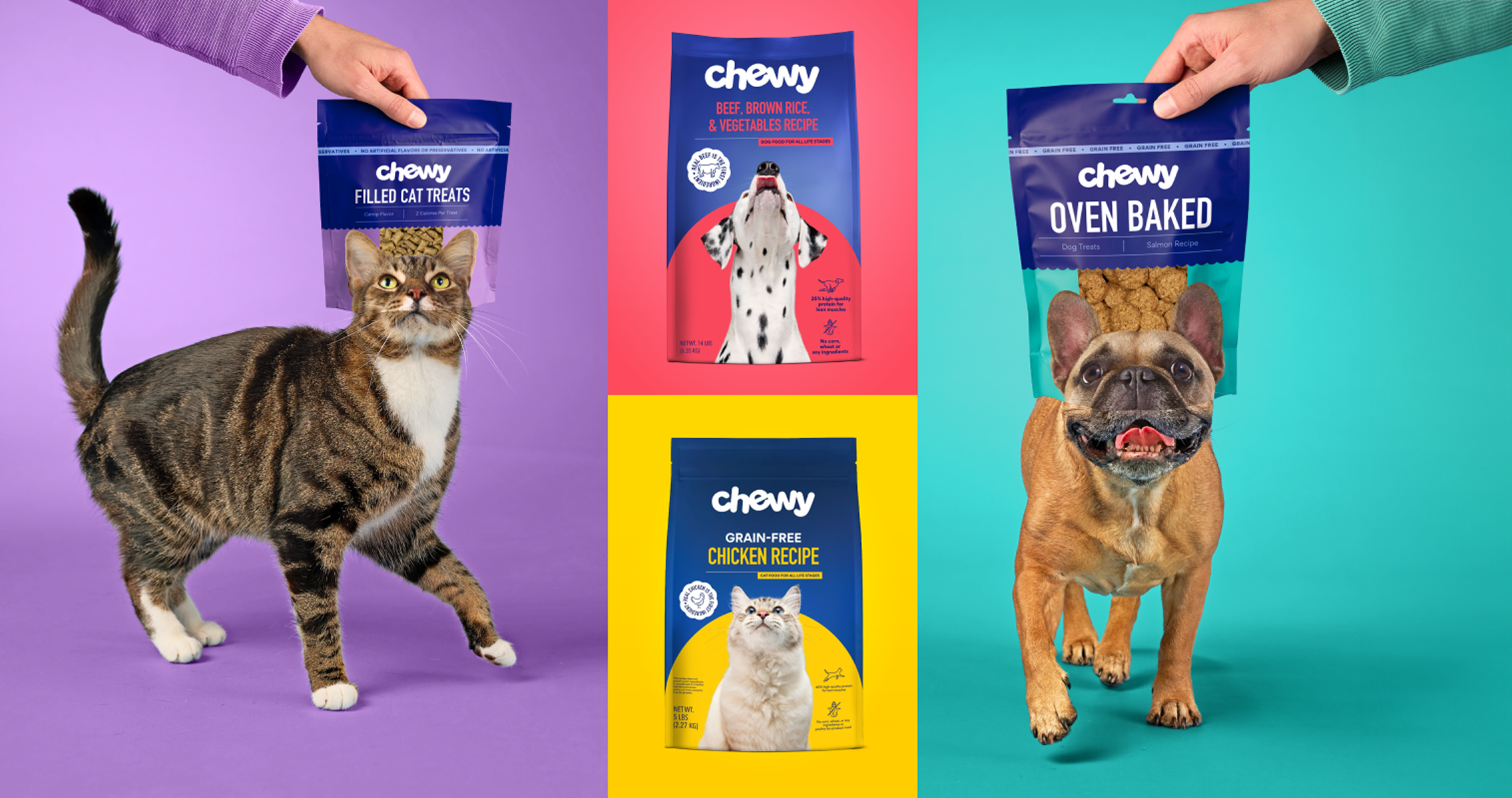 Chewy Made Launch