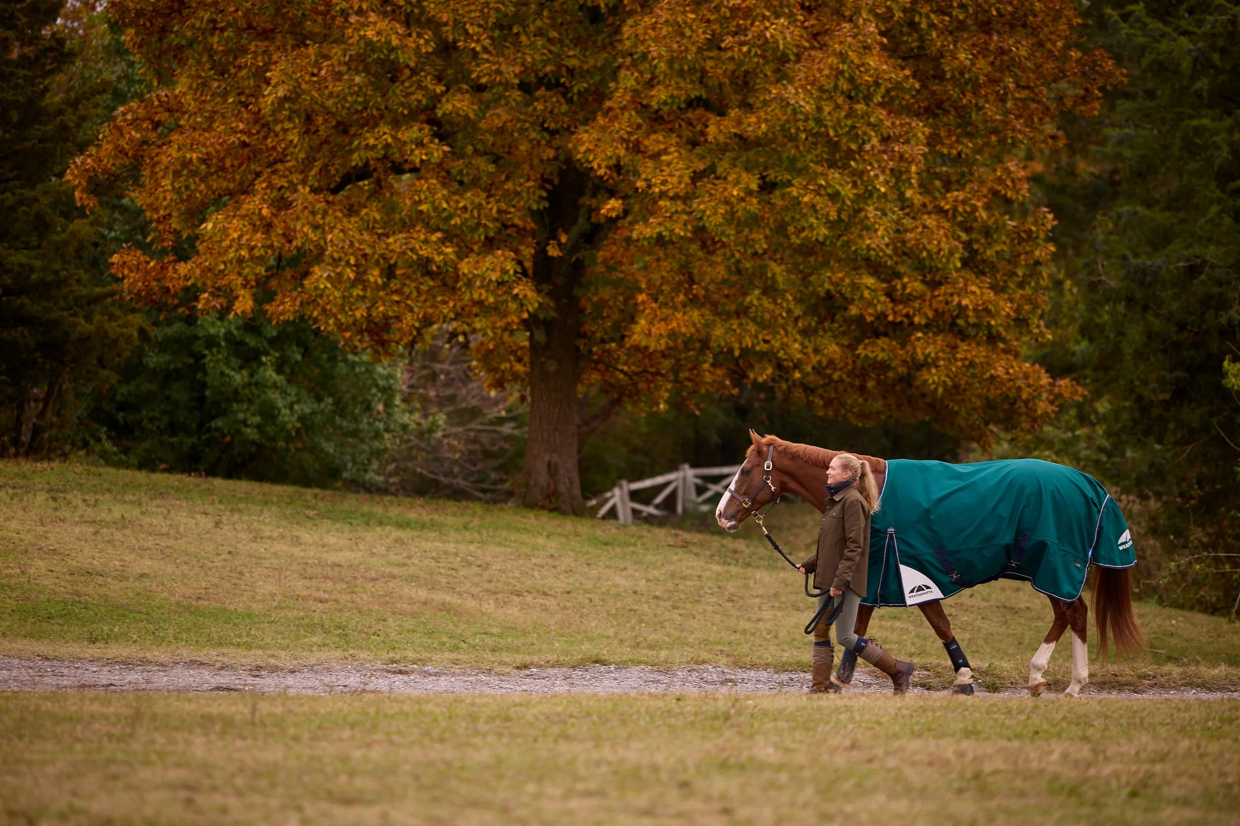2355050_IMC_DTS-Equine2026AssetLibraryShoot-Fall_20251103_02347.jpg