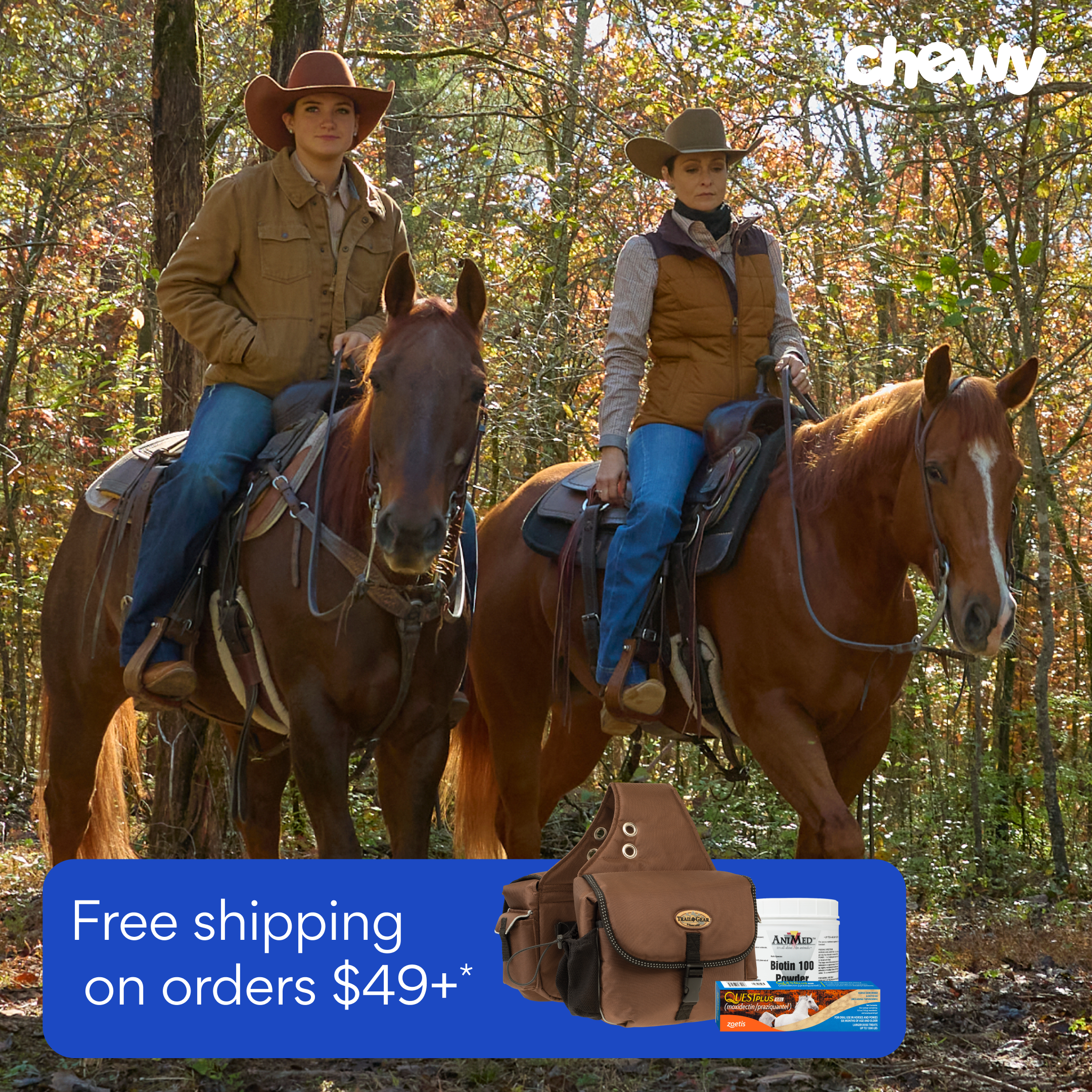 2810202-2026-07-Equine-Fall-DPA-FrontCard-3.png