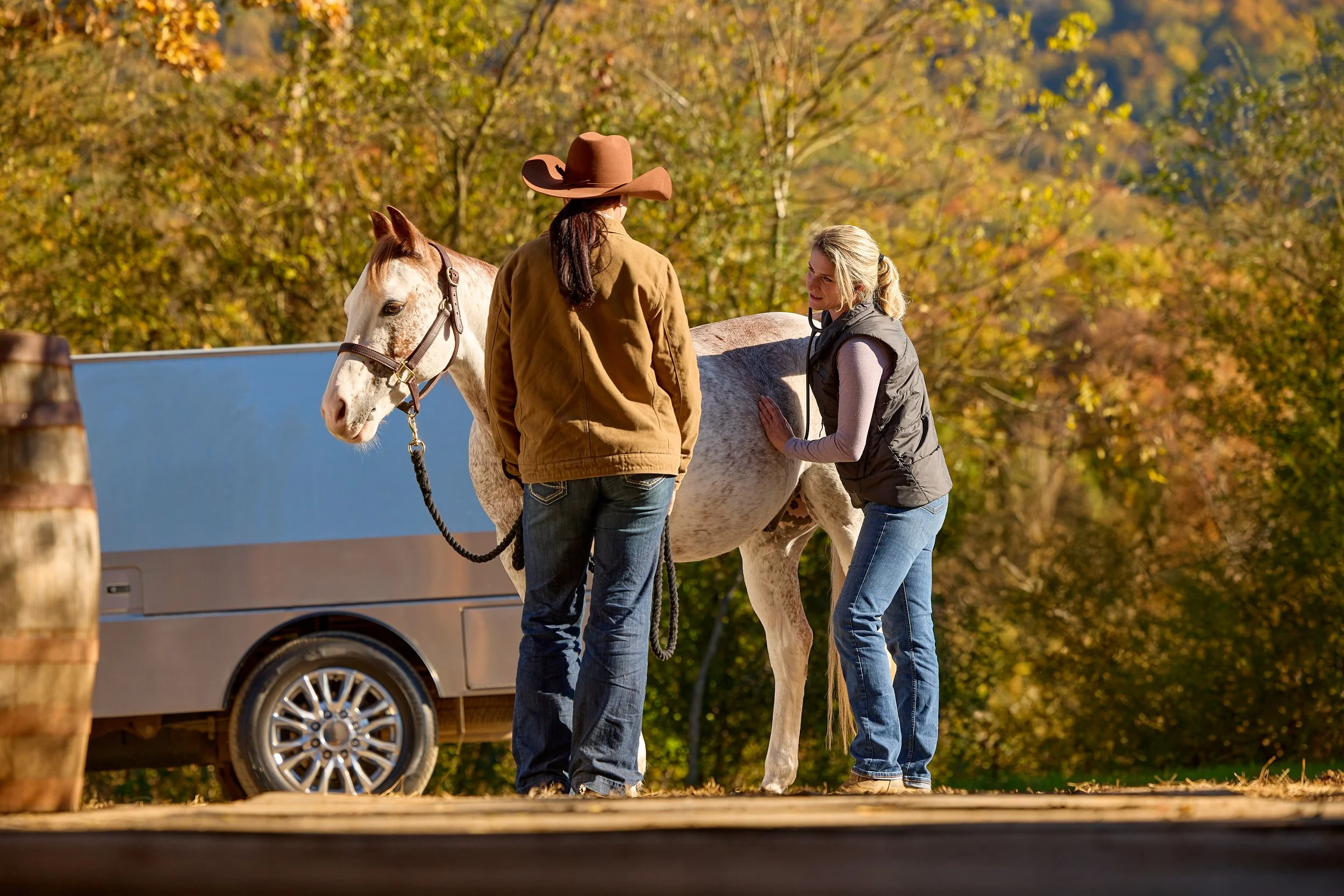 2355050_IMC_DTS-Equine2026AssetLibraryShoot-Fall_20251104_06642.jpg