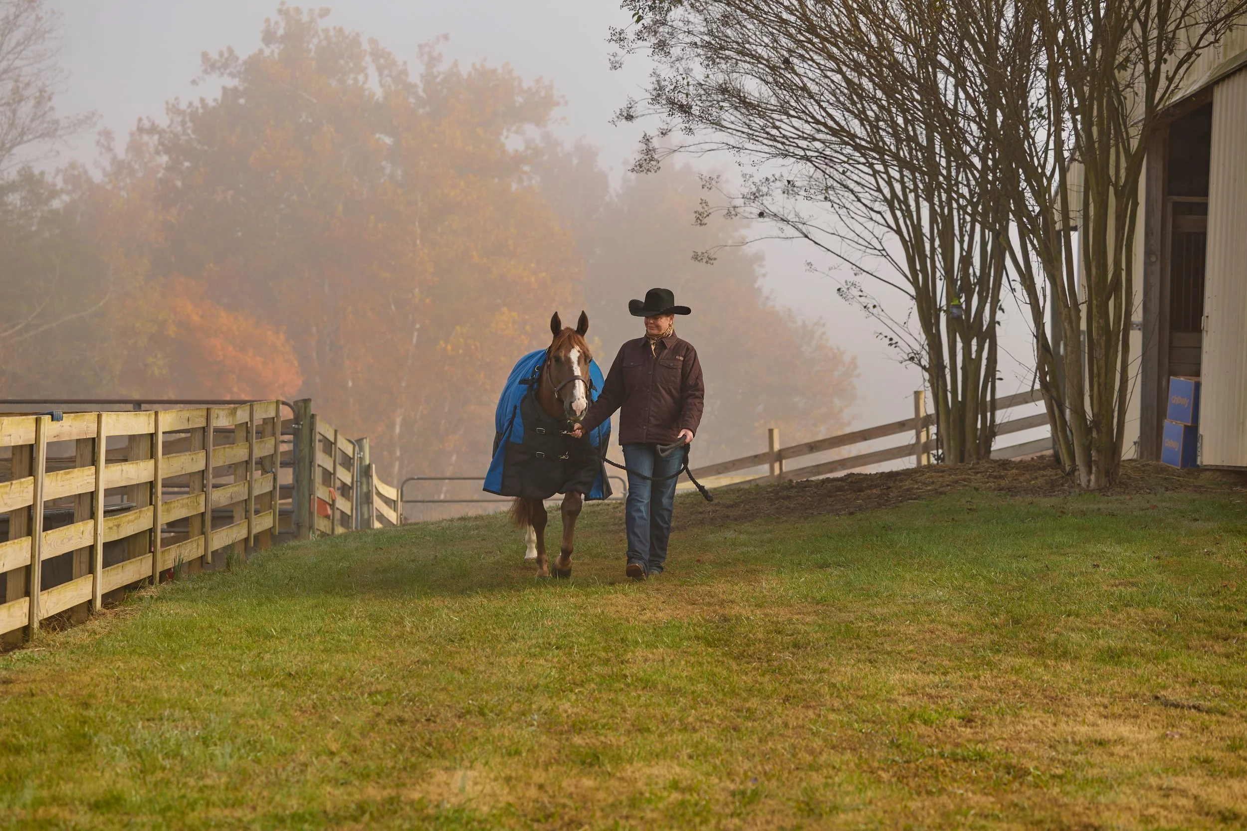 2355050_IMC_DTS-Equine2026AssetLibraryShoot-Fall_20251104_03751.jpg