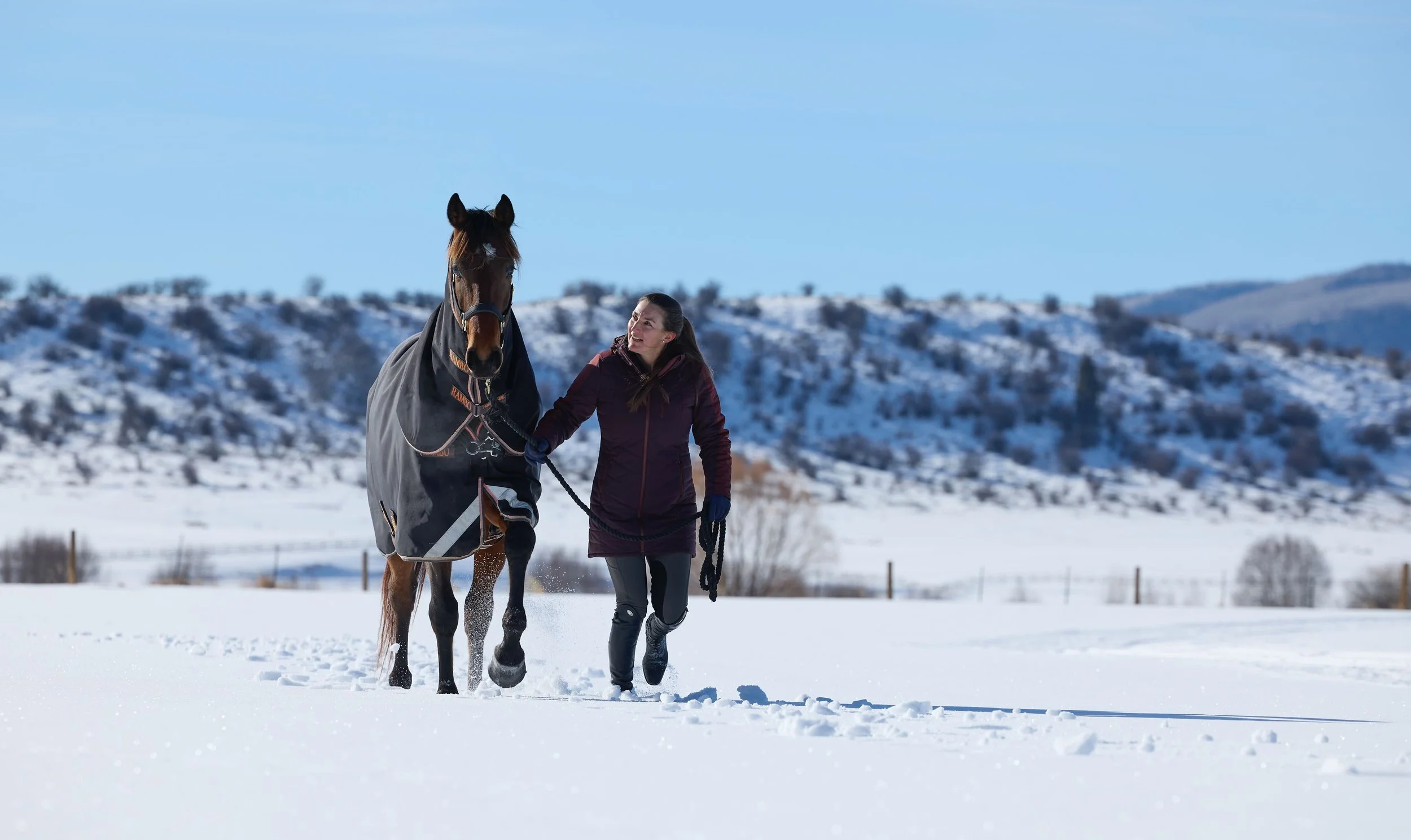 2360500_IMC_DTS-Equine2026AssetLibraryShoot-Winter_20260204_00678.jpg