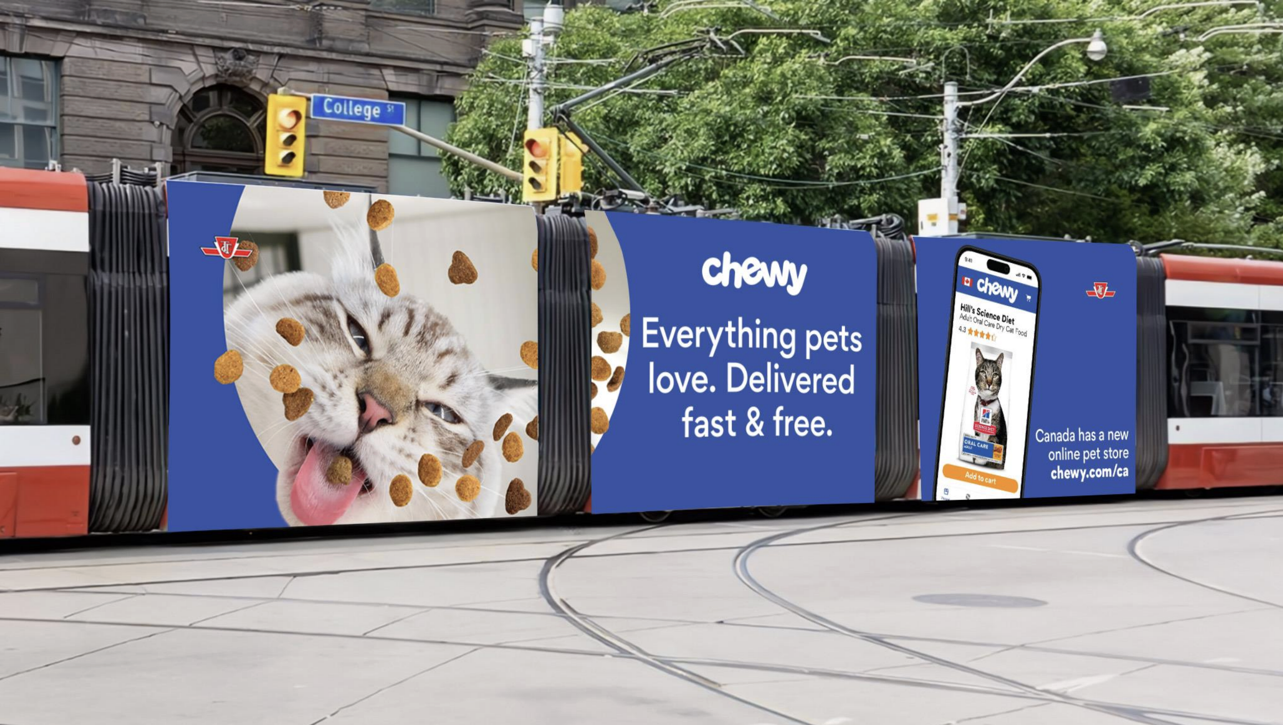 Always-On Paid Partnership Content