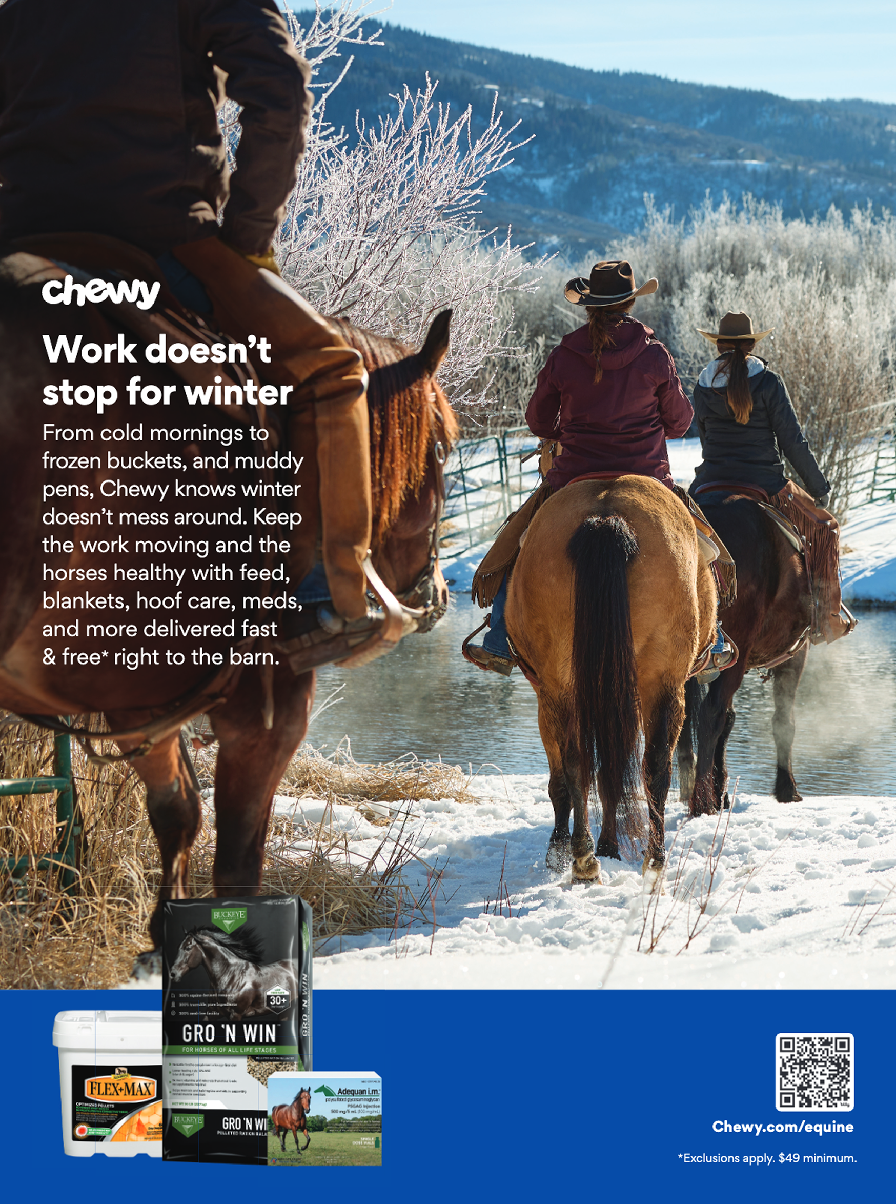 Equine-print-fall-holiday_PaintHorse.pdf - Page 8 of 9.png