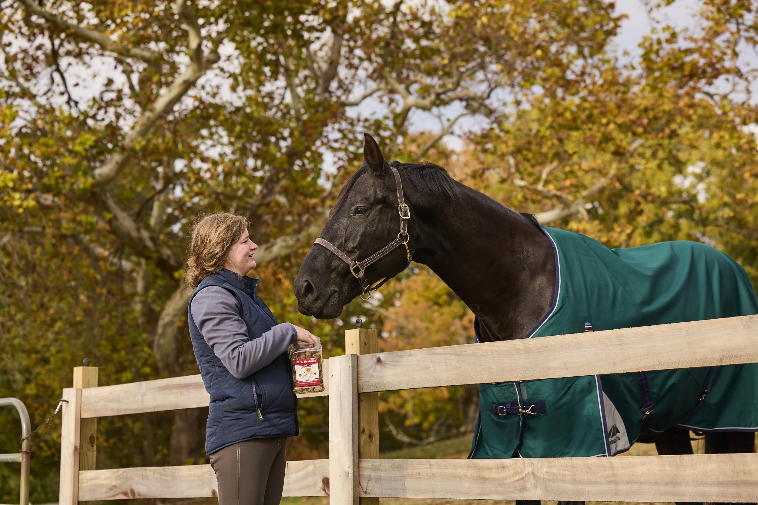 2355050_IMC_DTS-Equine2026AssetLibraryShoot-Fall_20251103_02953.jpg