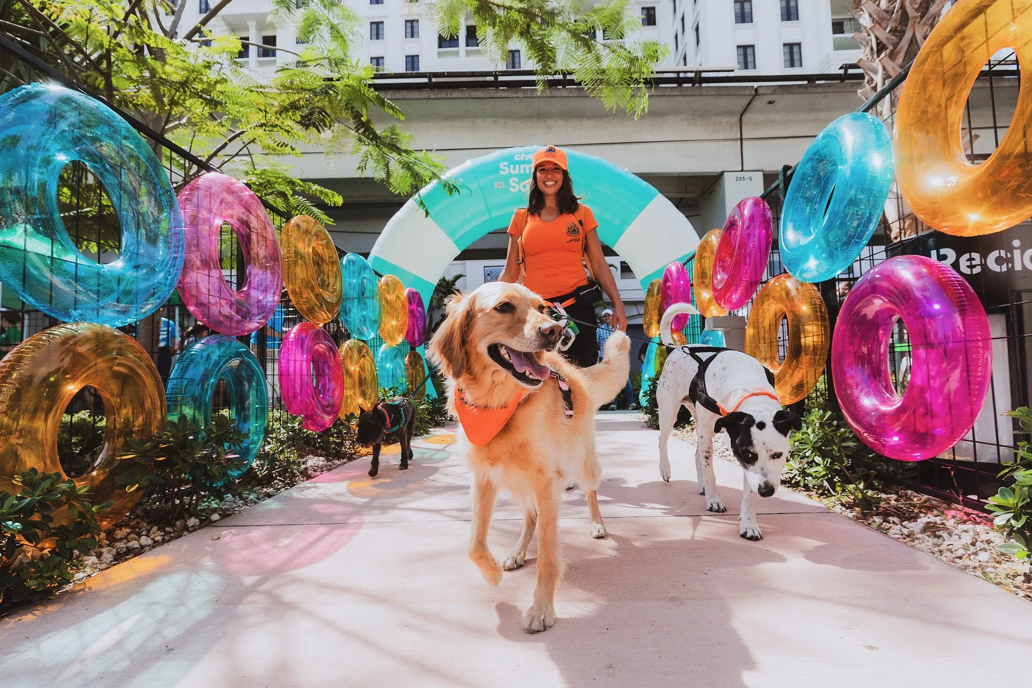 Chewy Summer Social