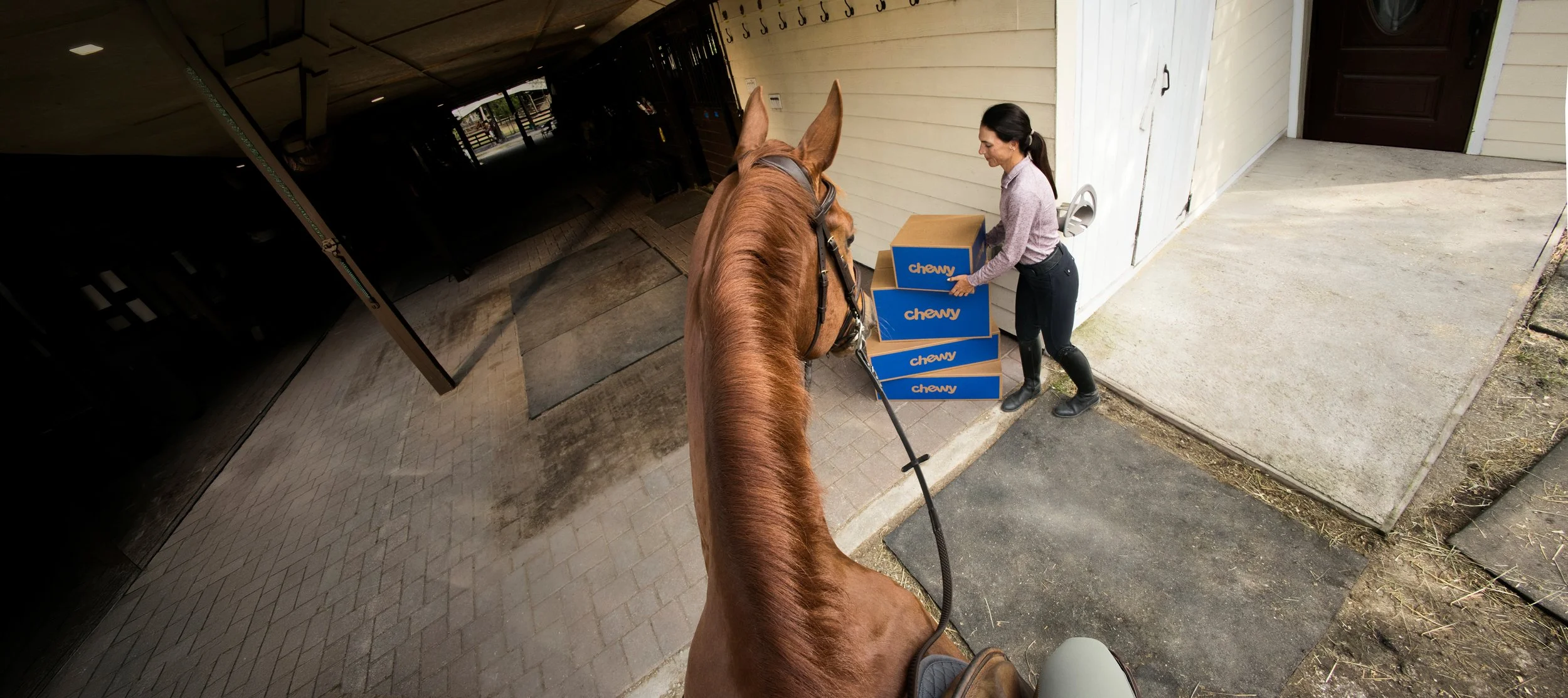 2340150_IMC_PH-Equine2026Platform_20260213_037705.jpg