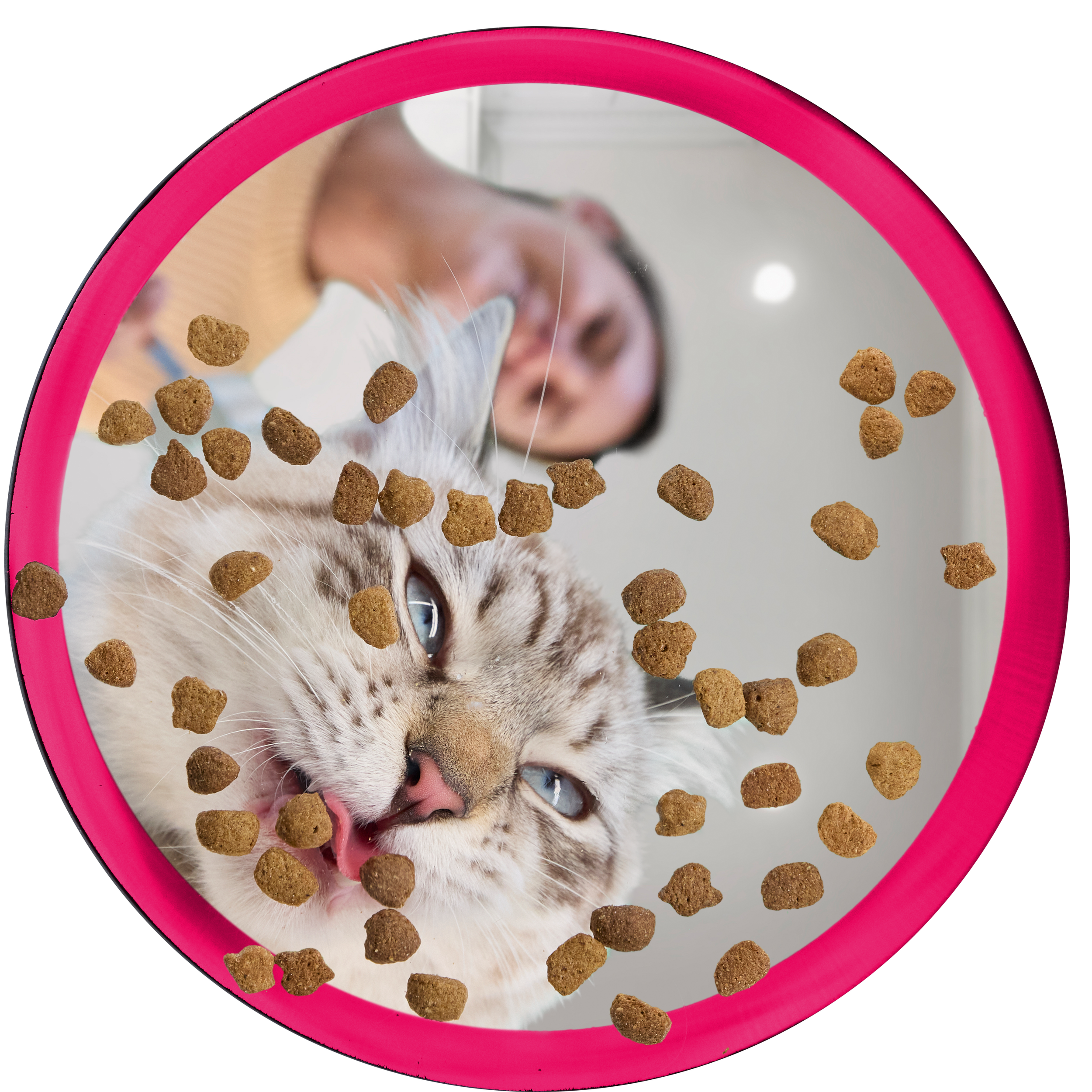 1397452_IMC_PH-Summer2CatFood_20240423_15661 copy.png