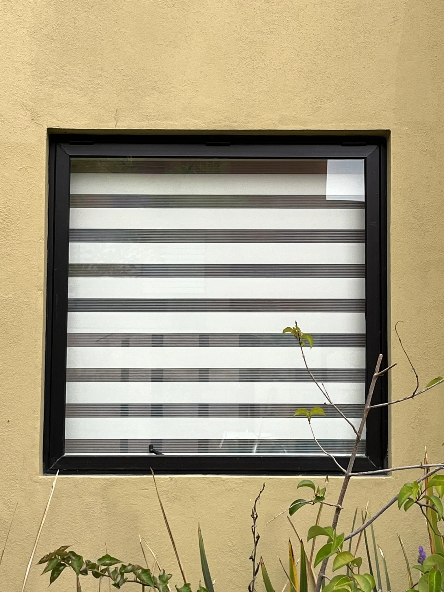 Ventana con persiana de rayas horizontales o persiana sheer elegance, en la pared de un color beige, rodeada de plantas en primer plano. Apartamento en San Miguel de Allende.