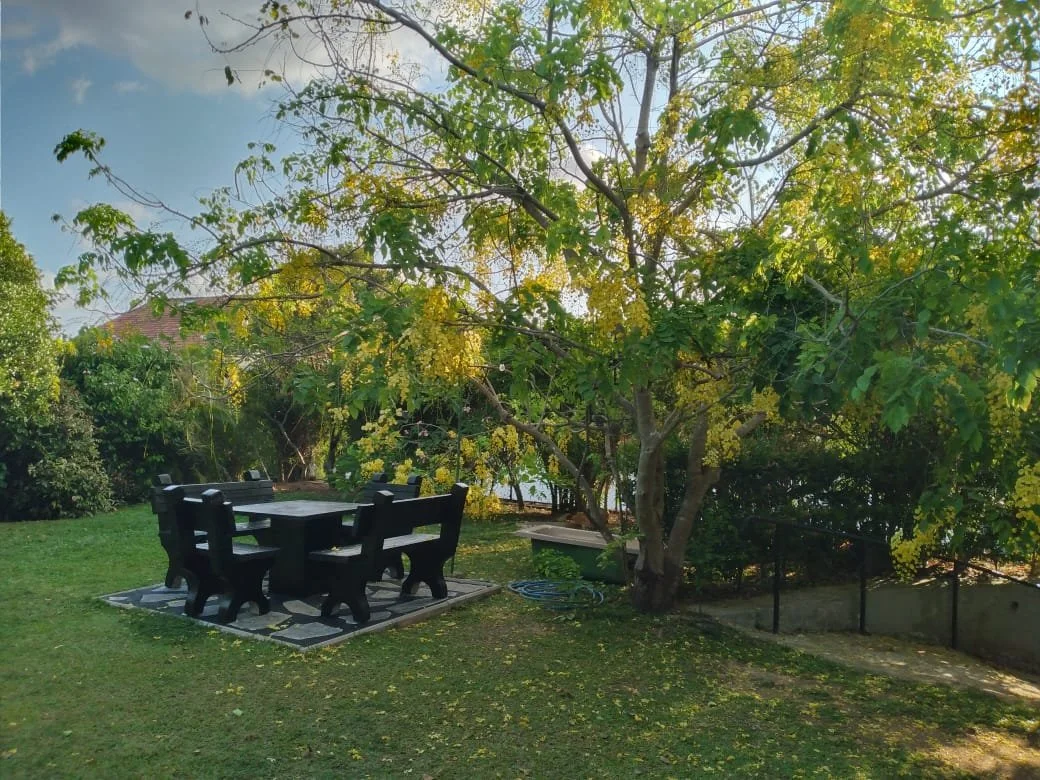 A backyard garden with a table and six chairs on a patch of paving stones, surrounded by grass, trees, and bushes, with a view of a lake or river in the background under a partly cloudy sky.