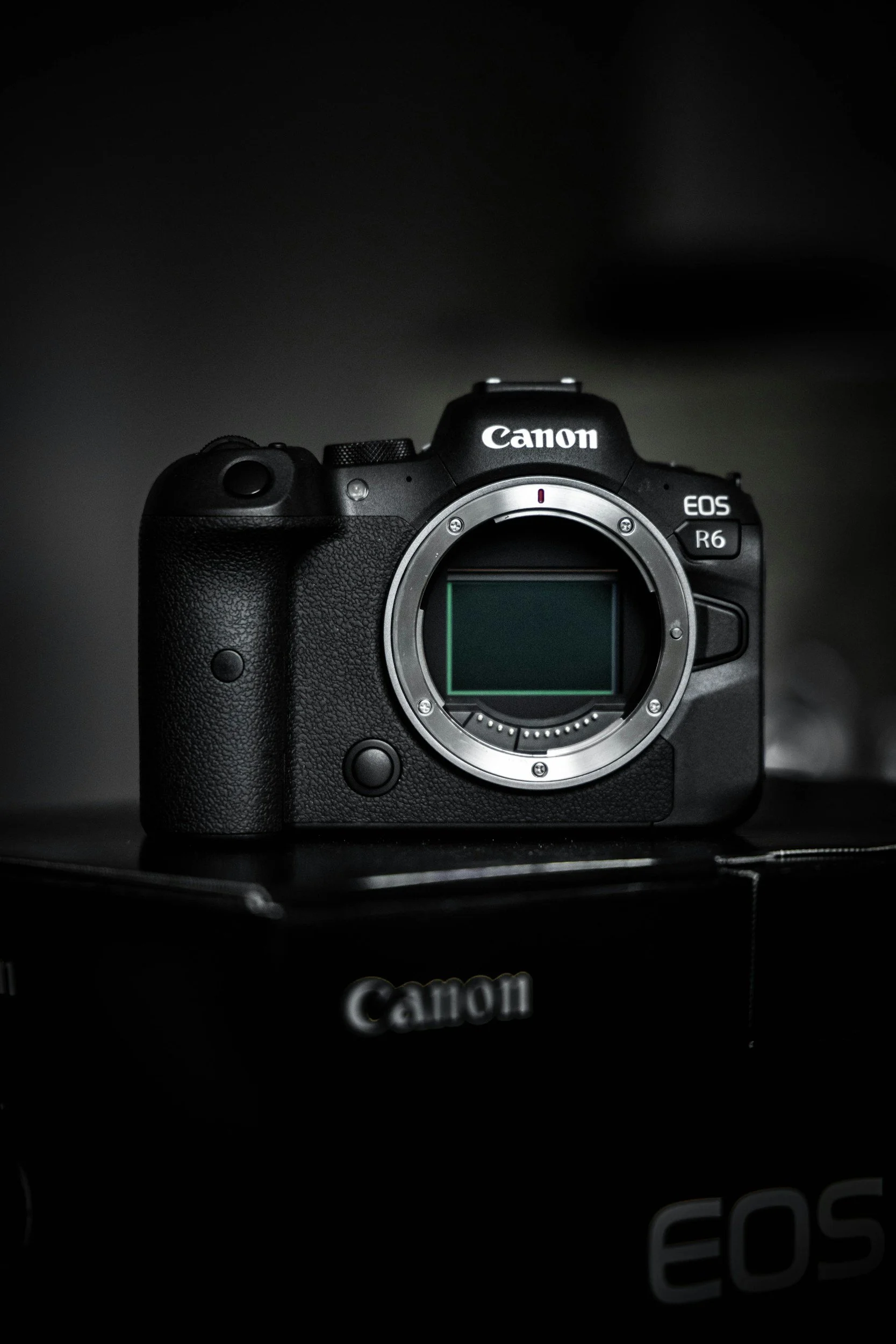 Canon EOS R6 camera body