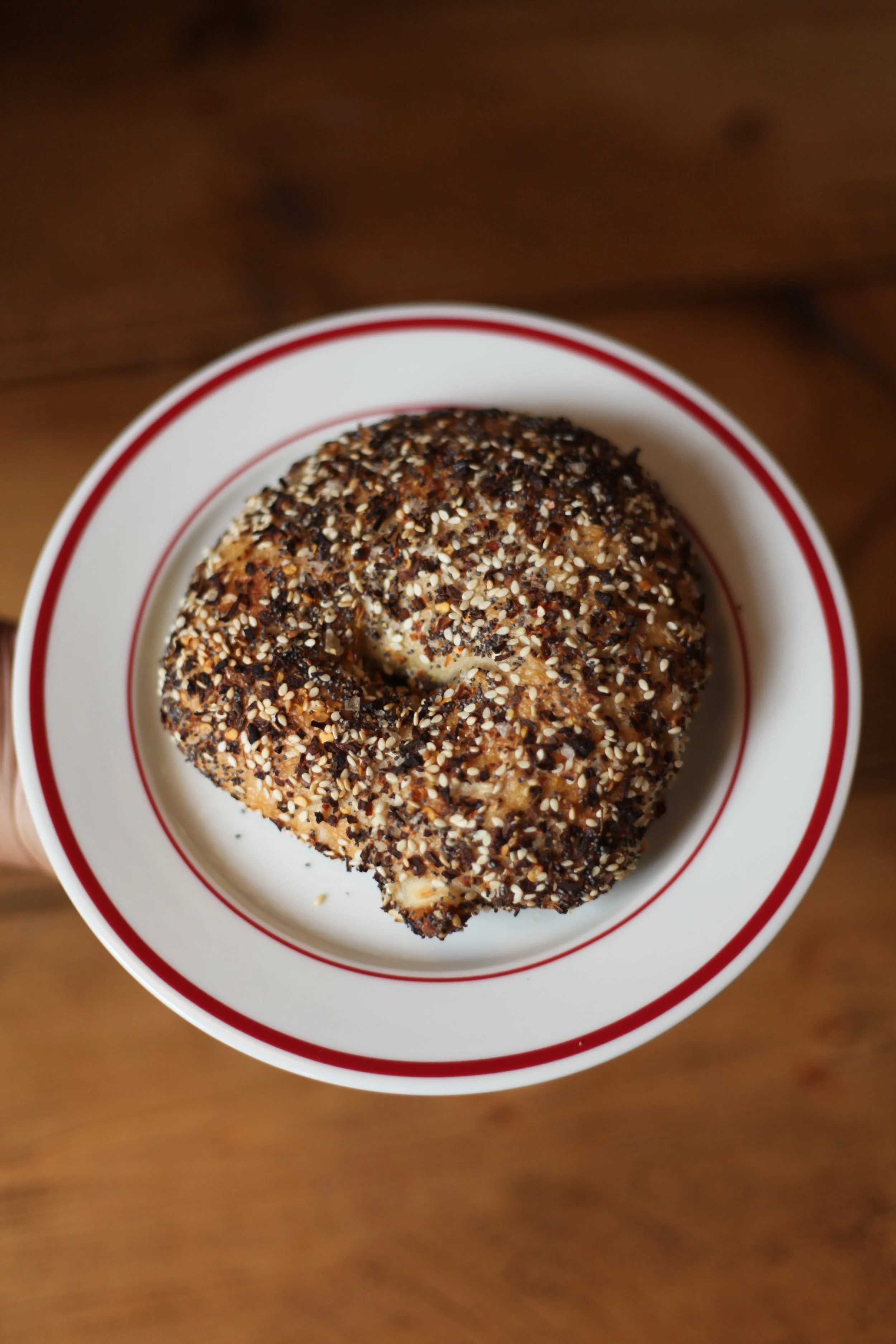 Everything Bagel