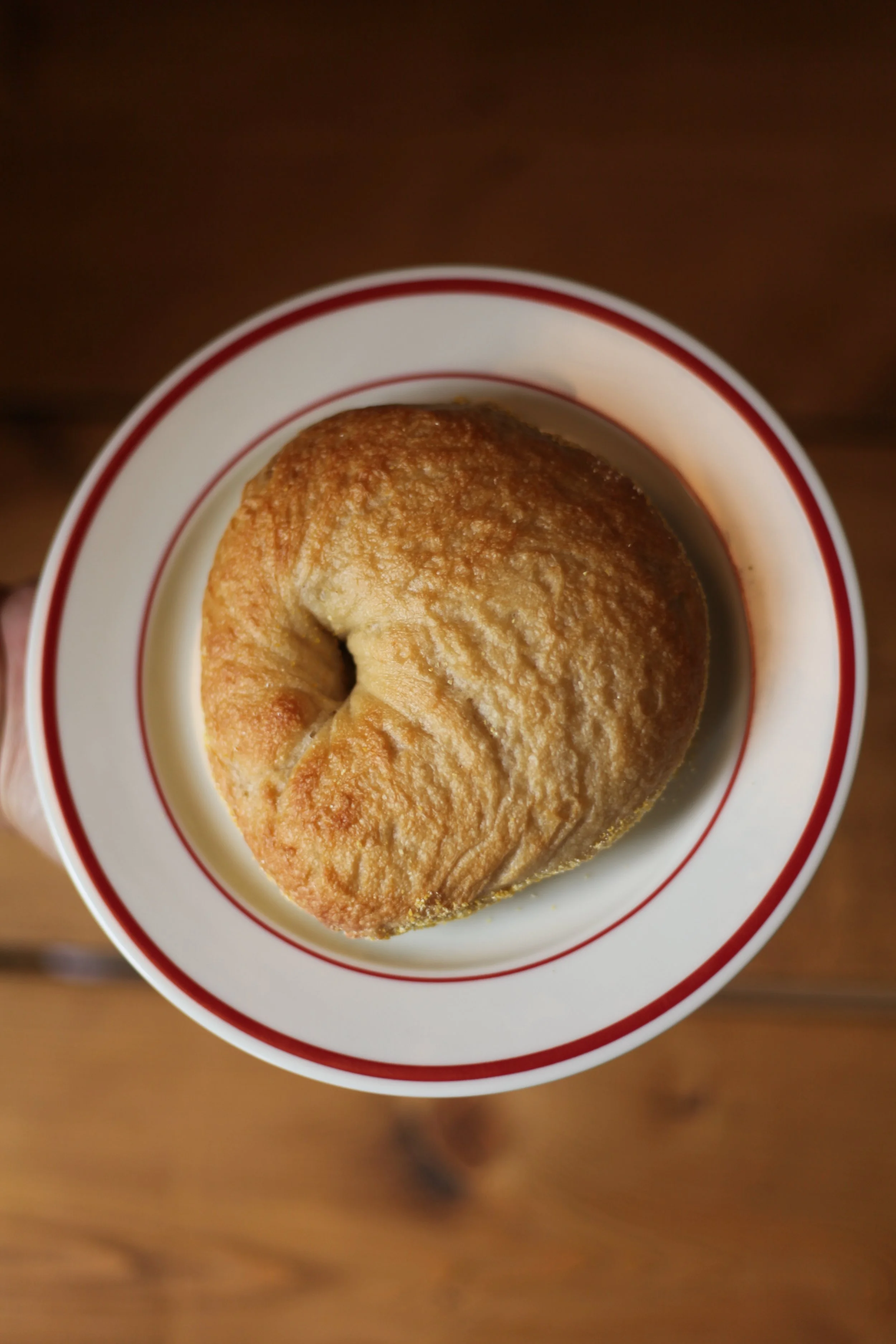 Plain Bagel