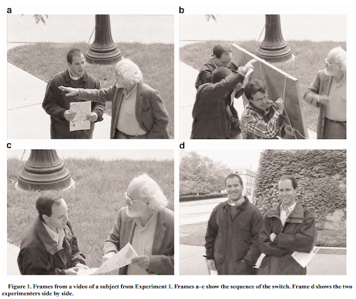 Images depict the experiment described below.