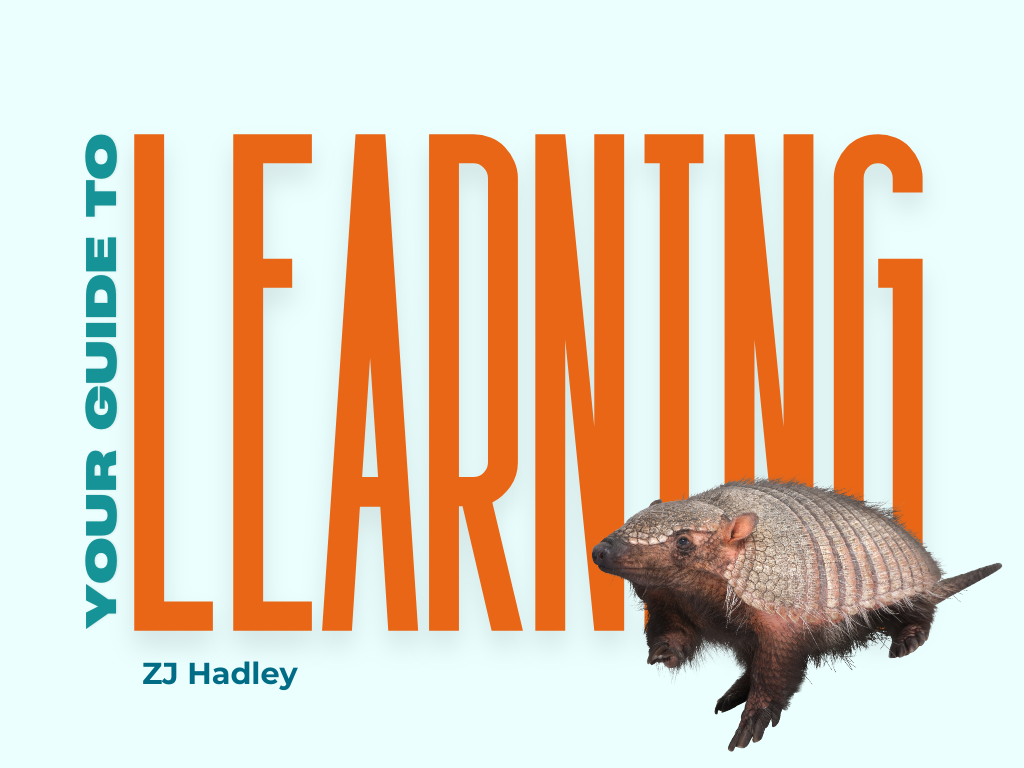 Your Guide to Learning More Effectively