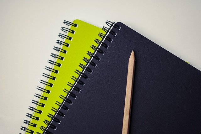 IEP review and draft parent input/ concerns letter