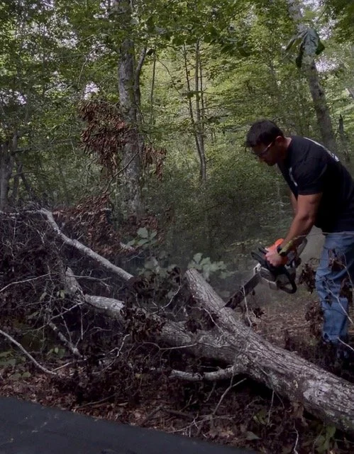 A man cutting a fallen tree with a chainsaw in a wooded area.