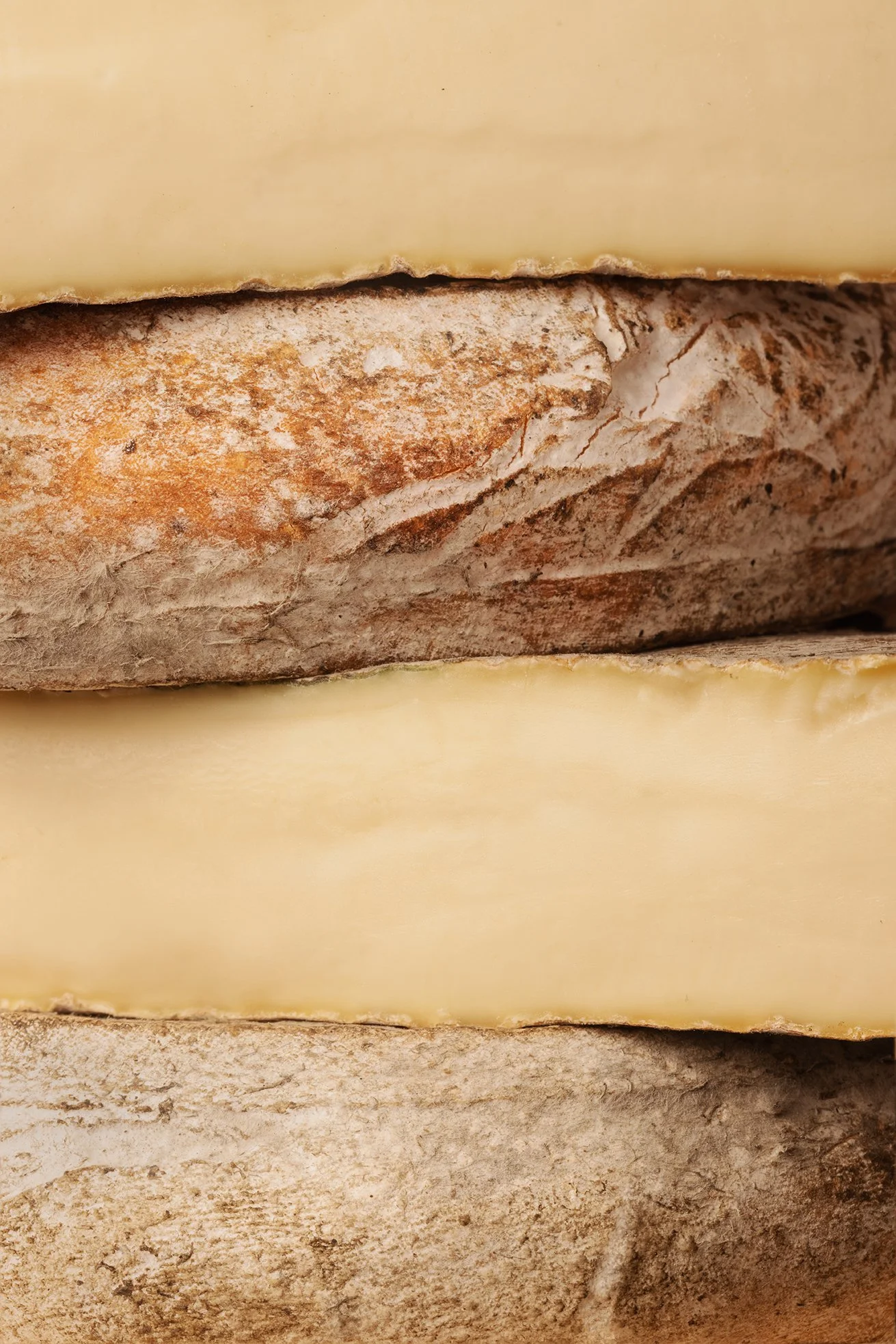 Gros plan de différentes couches de fromage, montrant des textures et couleurs variées, du blanc au brun, avec une surface légèrement poussiéreuse ou poussière.