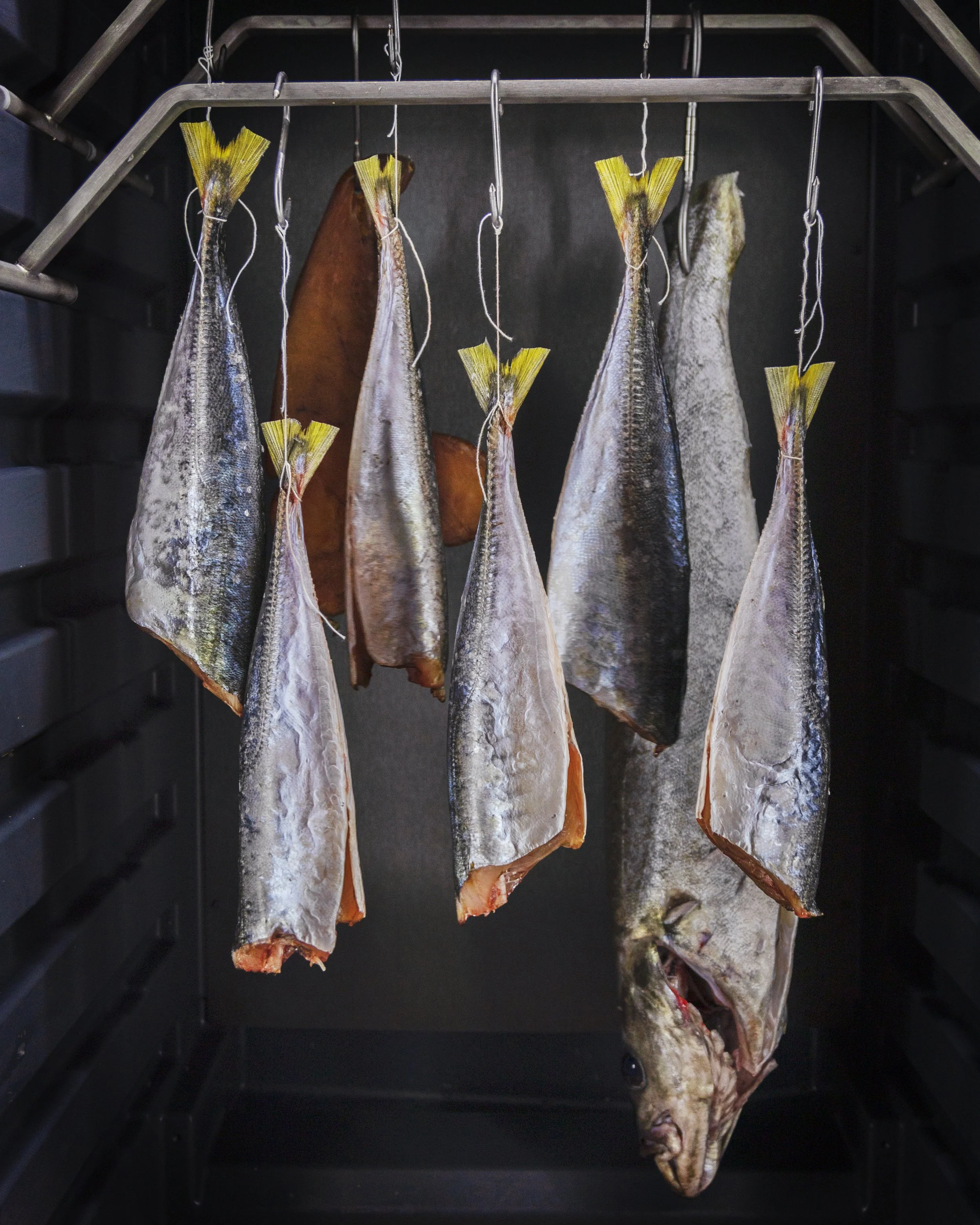 Poissons en train de sécher dans un fumoir ou un four, suspendus par la queue à des crochets en métal.