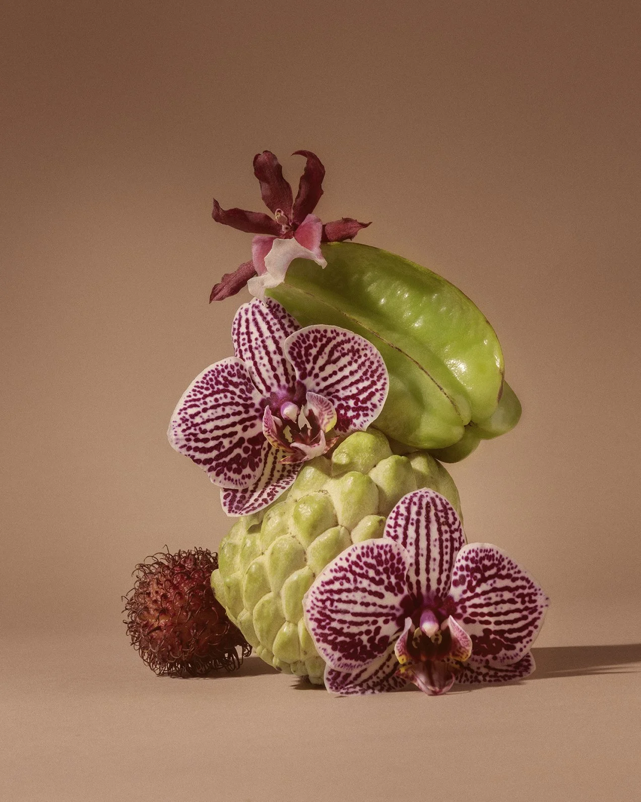 Composition de plusieurs fruits et fleurs exotiques, notamment des orchidées blanches et roses, un fruit vert, une rosace rouge foncé, et une boule rougeâtre apicale, sur un fond beige.