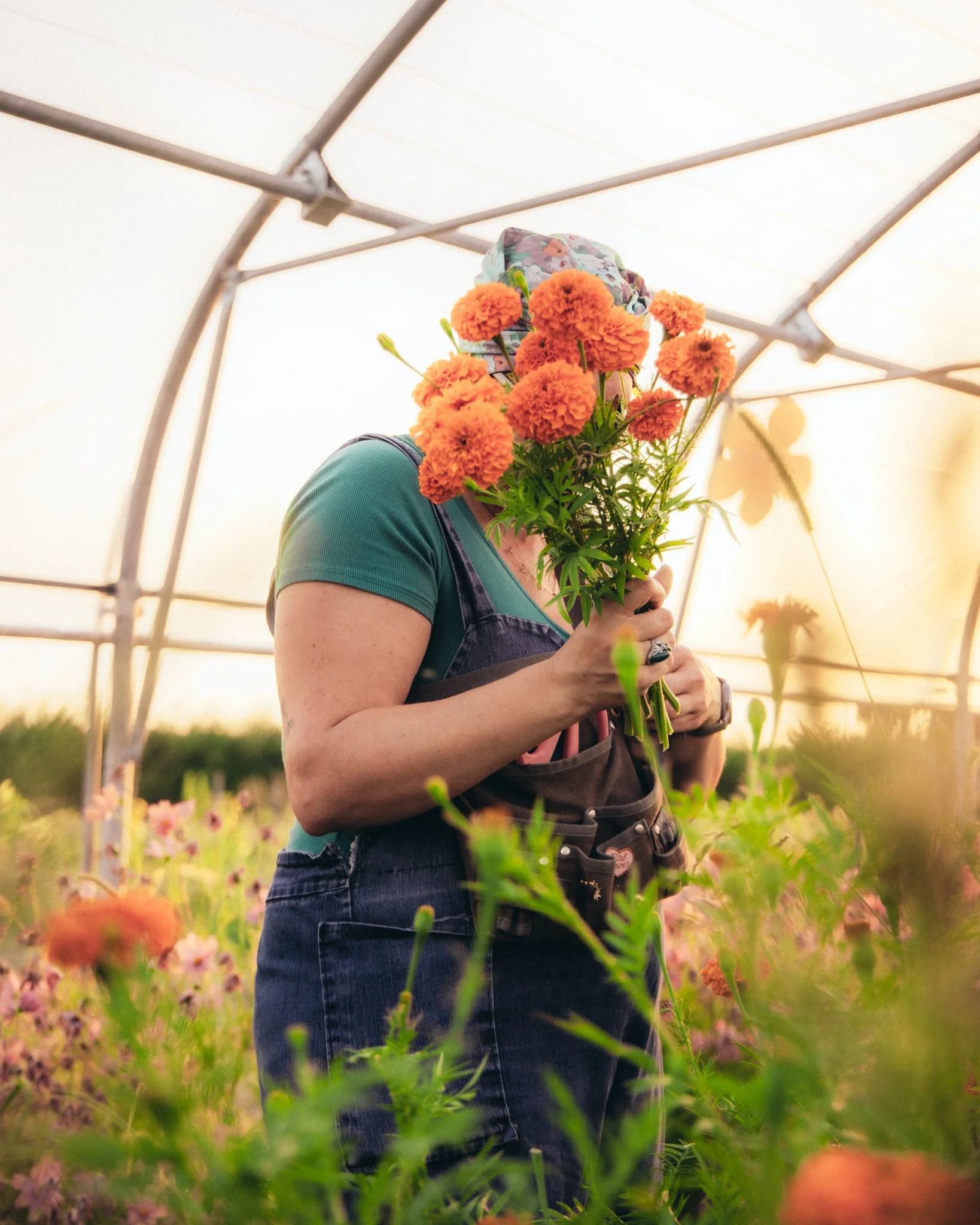 Une personne tenant un bouquet de fleurs orange dans une serre ou un jardin, avec un ciel d'été en arrière-plan.