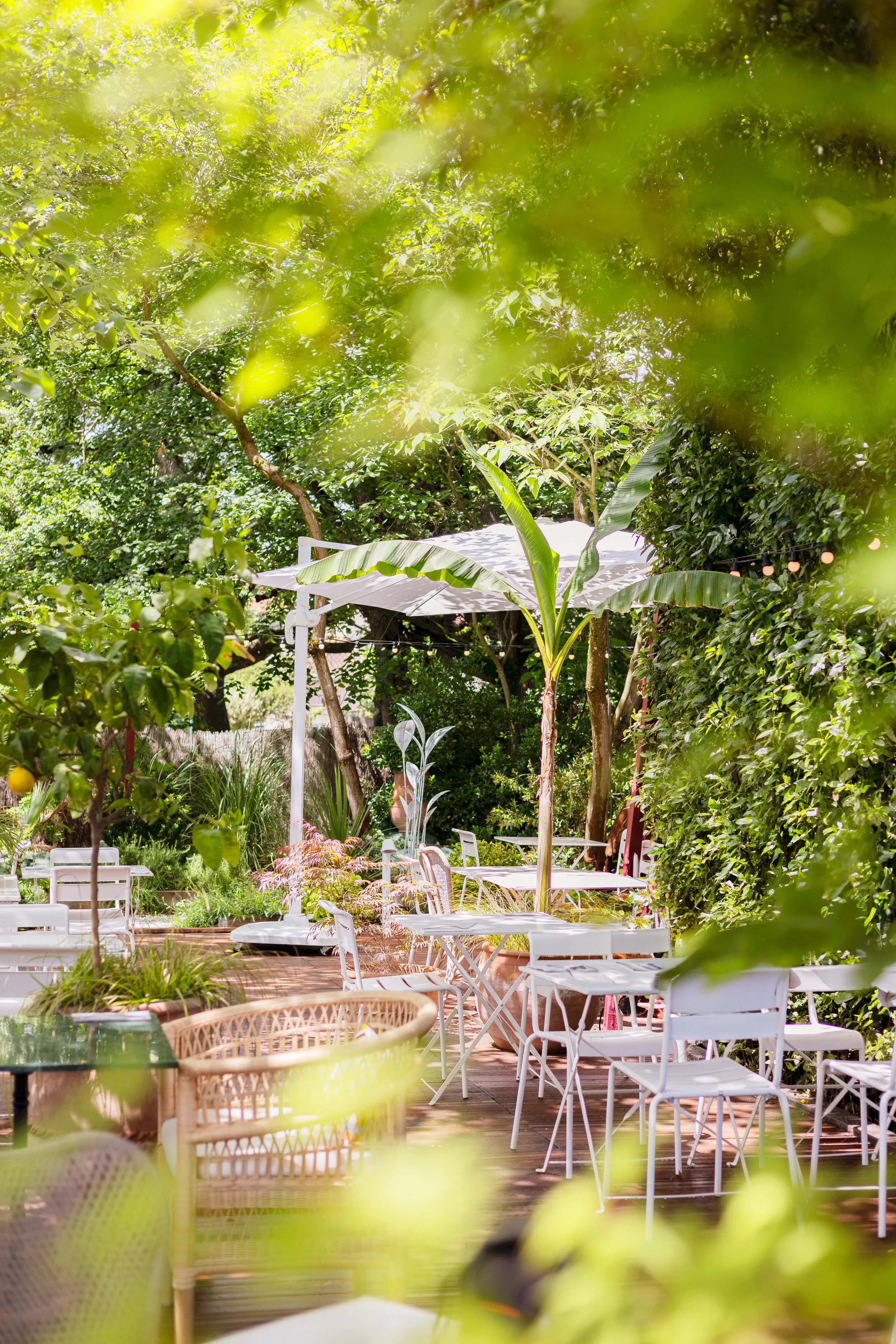 Un espace extérieur avec des tables et des chaises blanches, des plantes vertes et un parasol blanc, entouré de végétation et d'arbres, lors d'une journée ensoleillée.