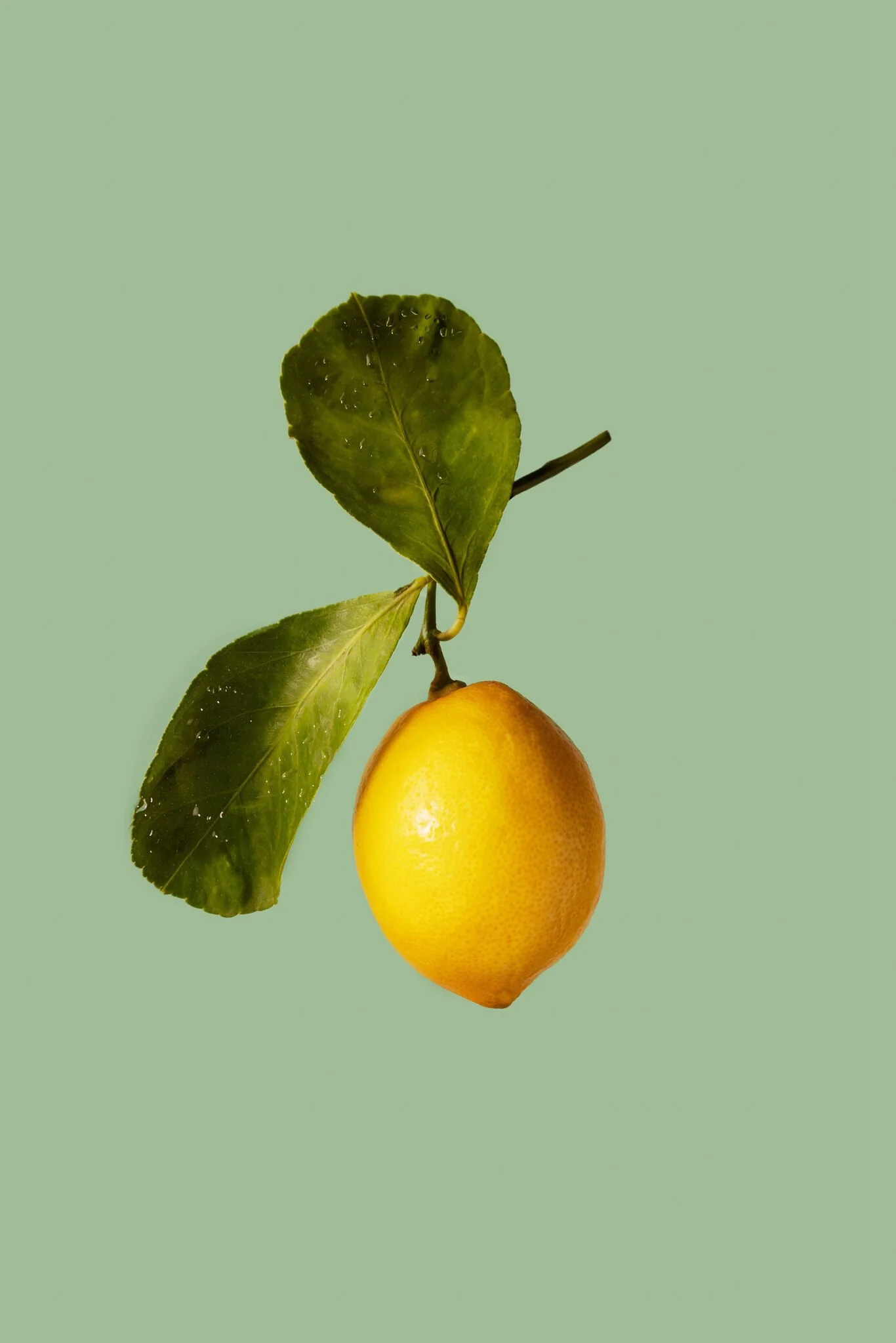 Une poire jaune avec deux feuilles vertes attachées à la tige, sur un fond vert clair.