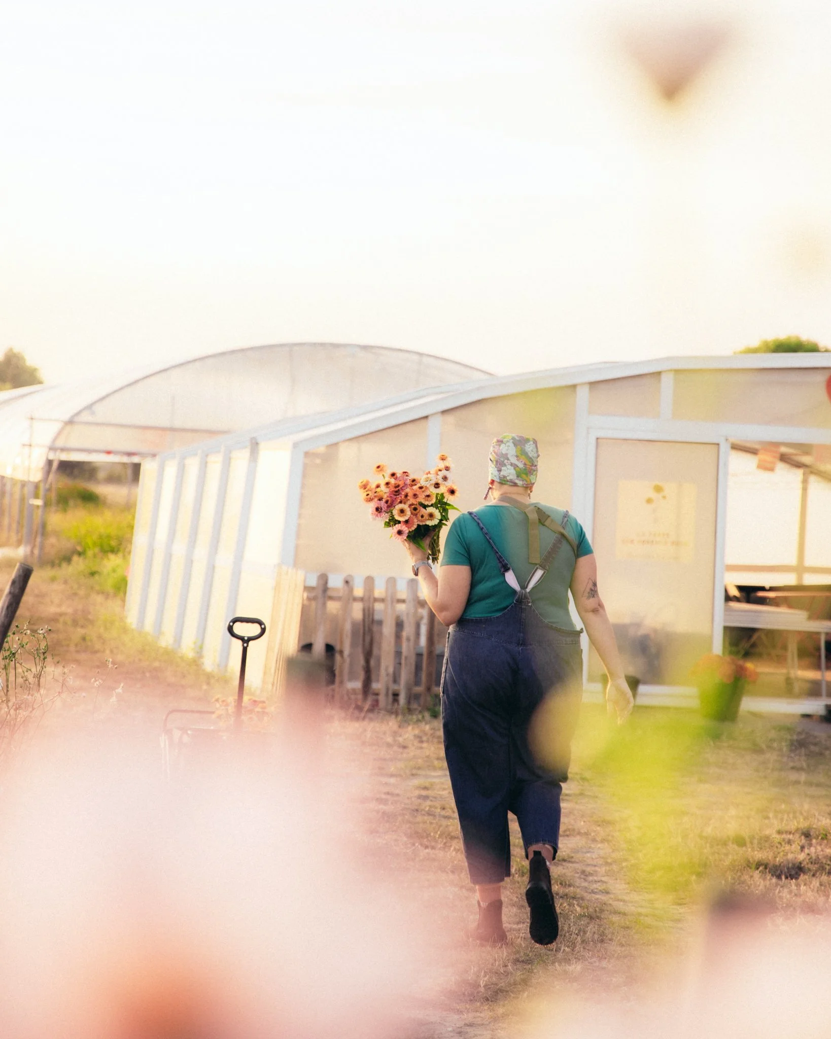 Personne de dos portant un bouquet de fleurs, marchant sur un chemin lors du coucher de soleil, dans un environnement rural avec une serre en arrière-plan.