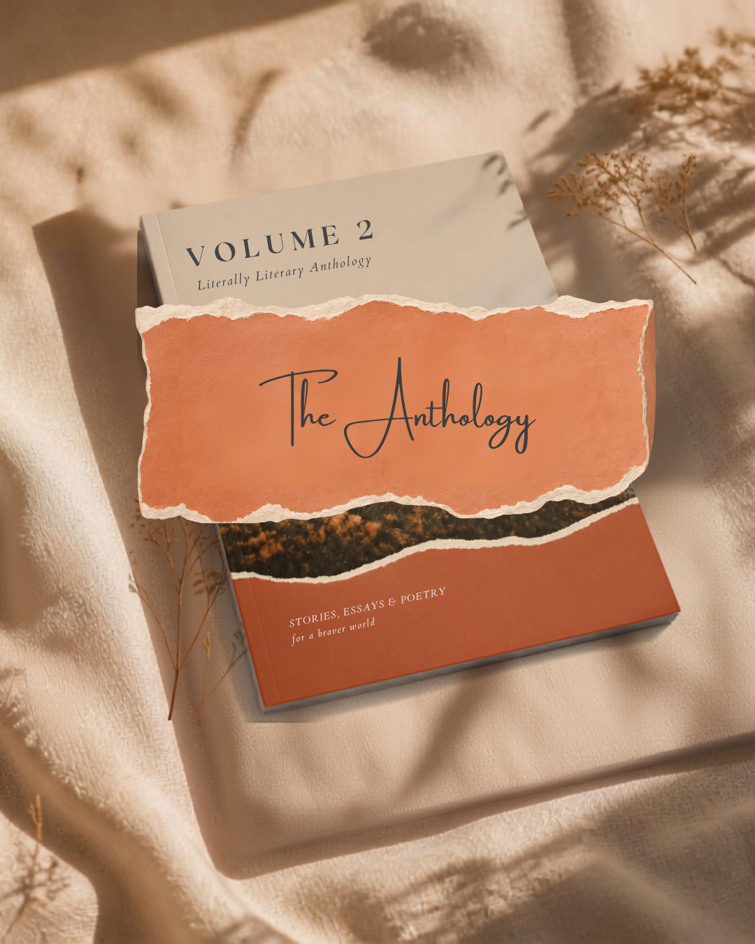 A book titled 'The Anthology' with a torn paper design and subtitle 'Stories, Essays & Poetry for a braver world,' resting on a cream-colored fabric with dried plant shadows.