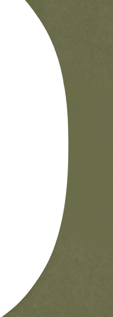 Close-up of a black circular object against an olive green background.