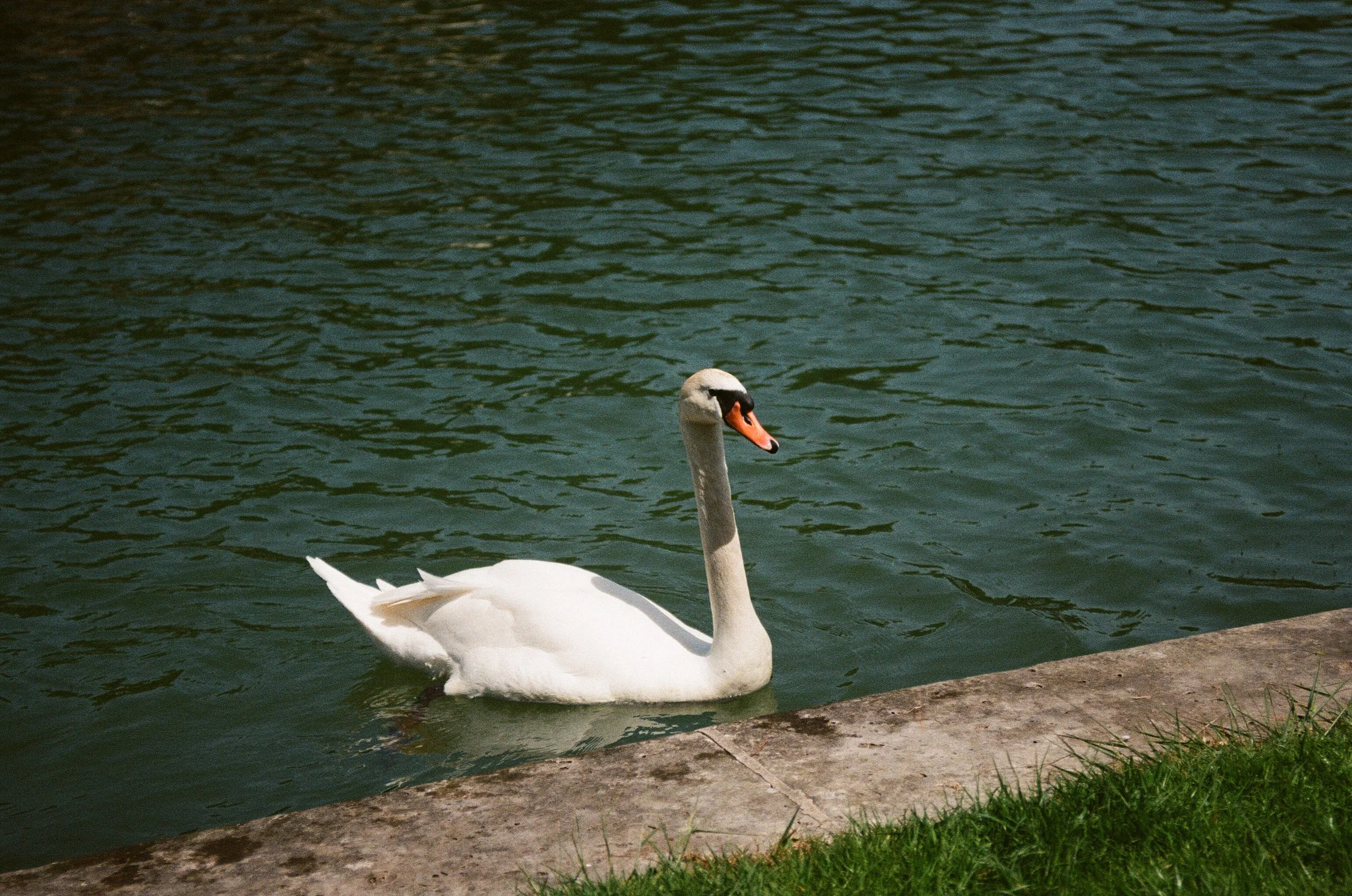 BE73529E-BC92-4A33-B6E9-F22D1E655064.jpeg