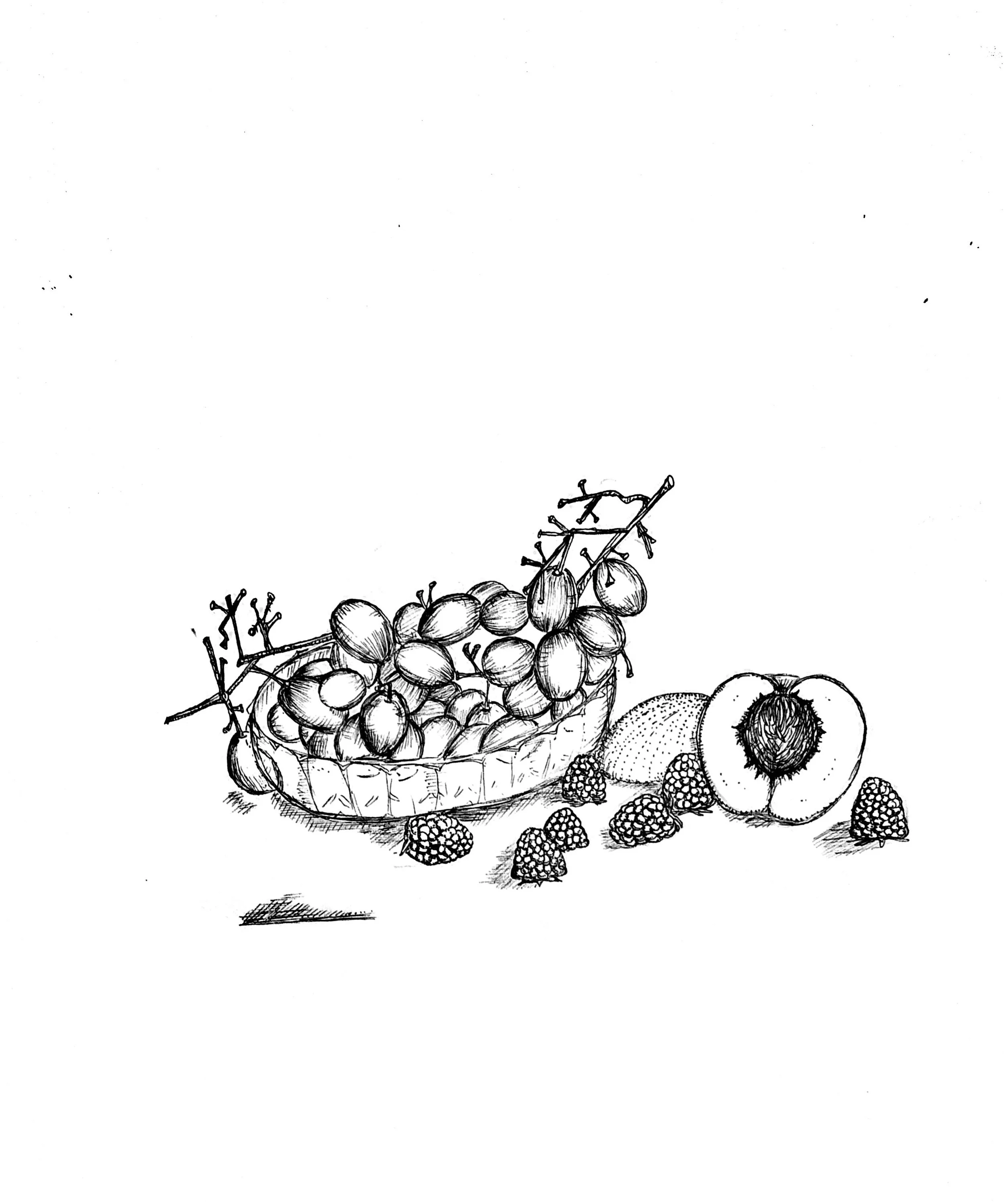 fruits