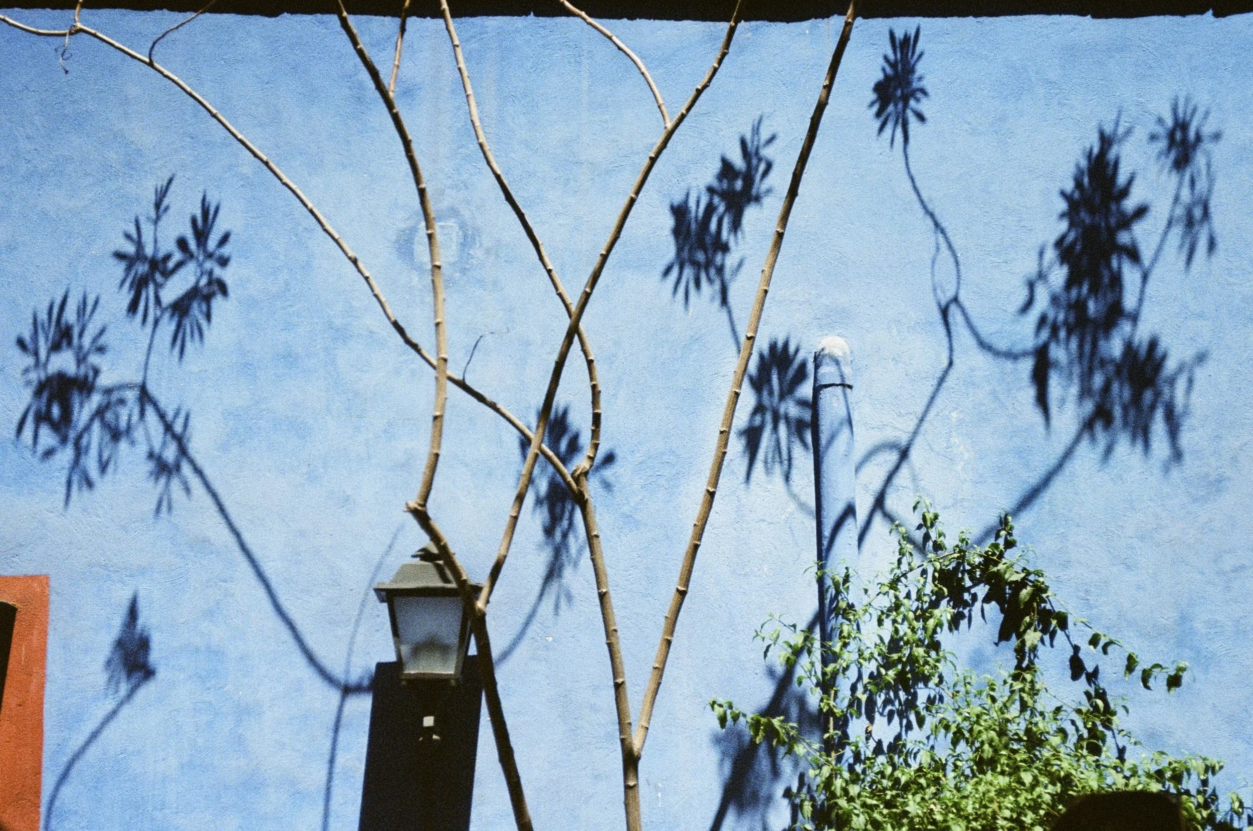 1837AFBC-6F7D-4A49-8A86-A9A53E1AD2B3.jpeg