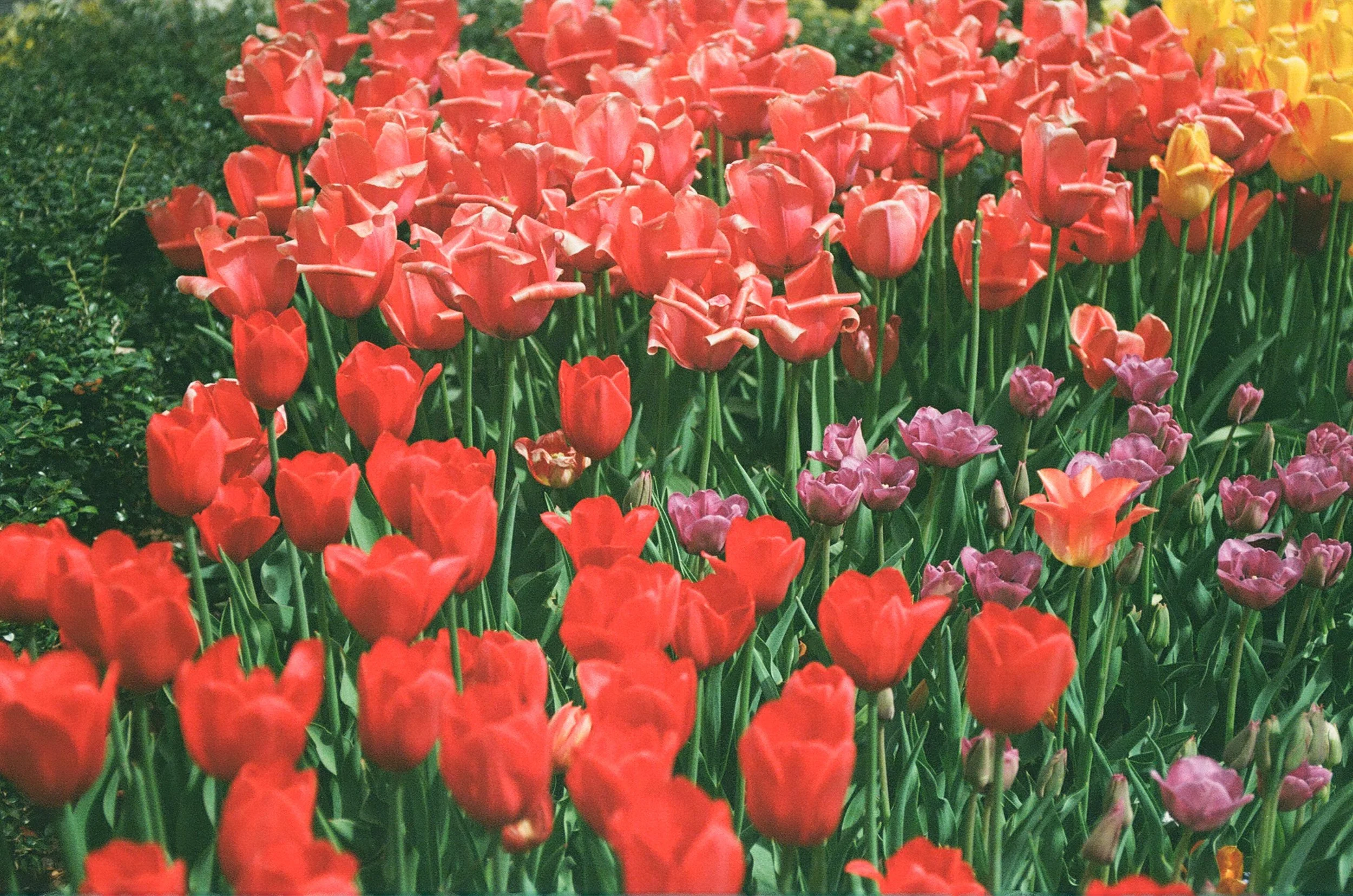 9D061E13-9117-48DB-BB8C-16768D2FDB70.jpeg